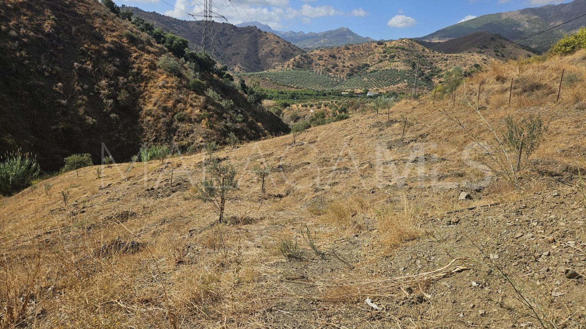 Tomt for sale in Casarabonela