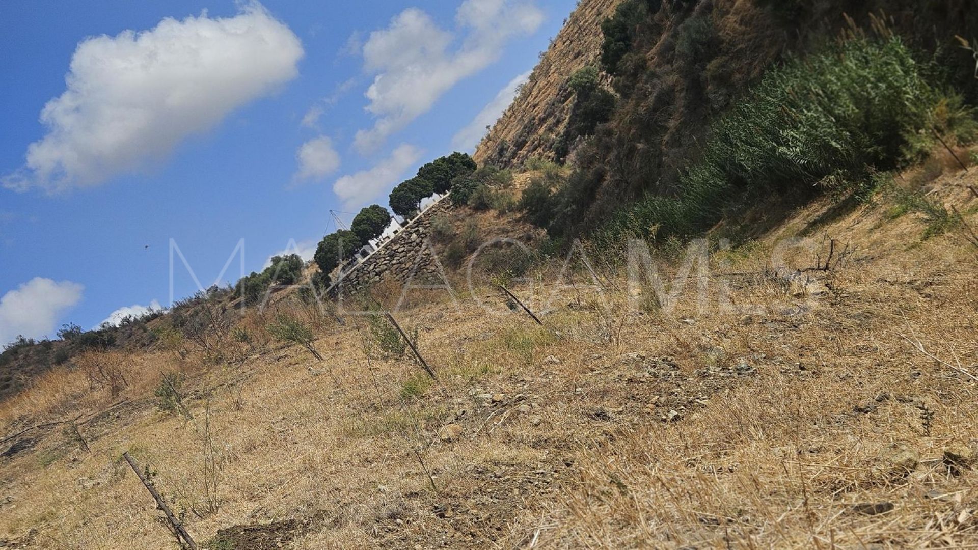 Tomt for sale in Casarabonela