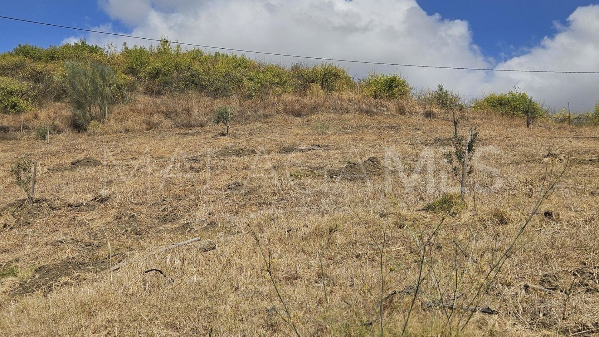 Tomt for sale in Casarabonela