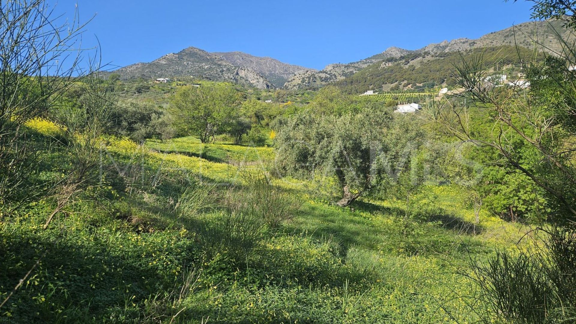 Tomt for sale in Casarabonela