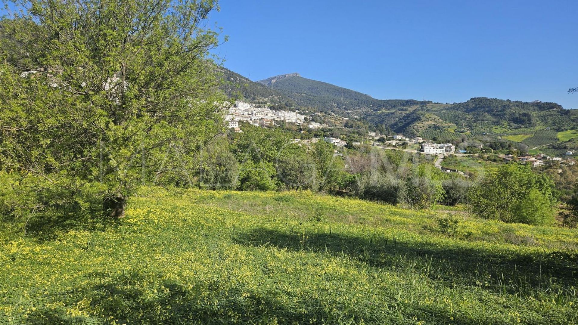 Tomt for sale in Casarabonela