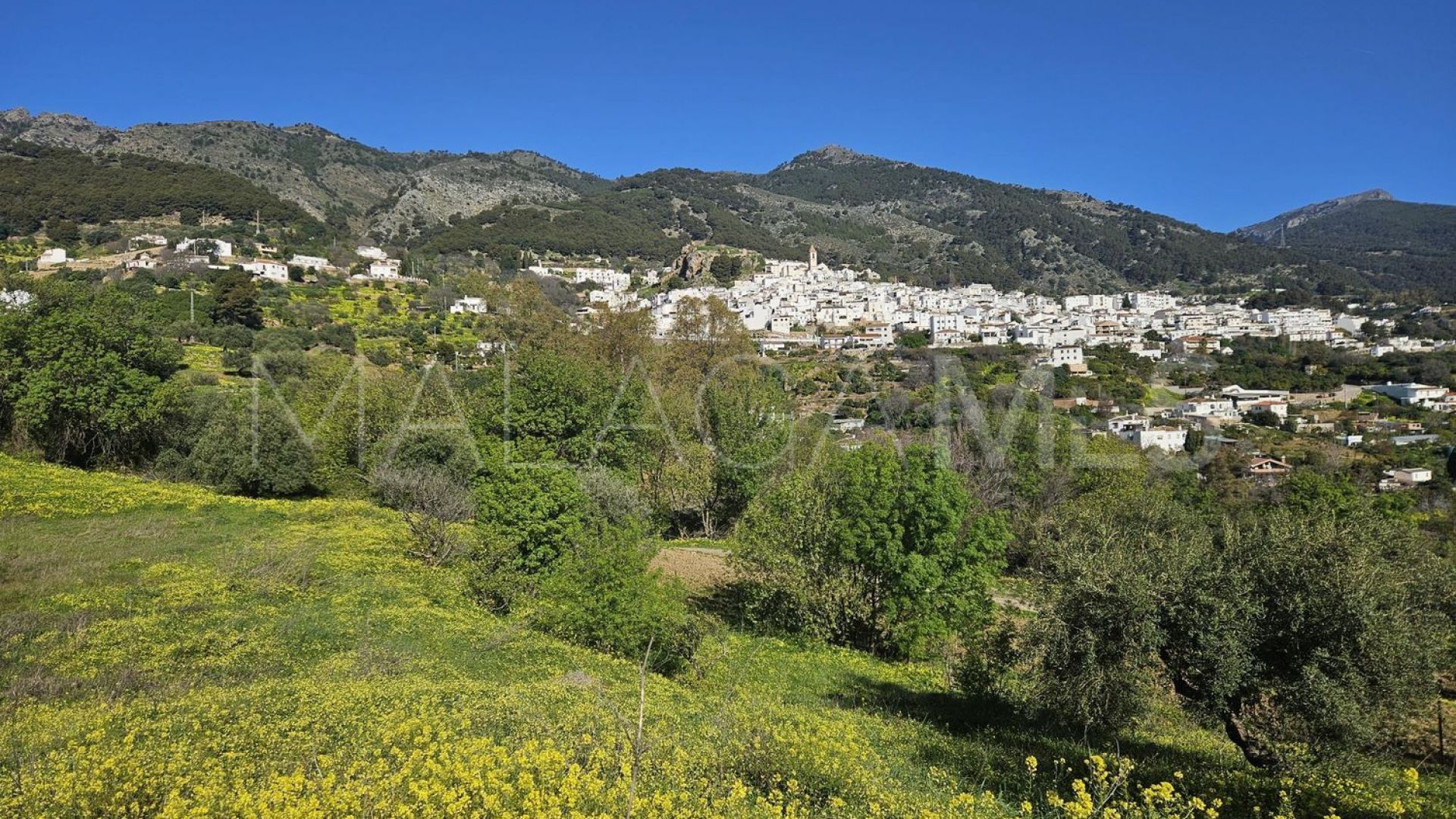 Tomt for sale in Casarabonela