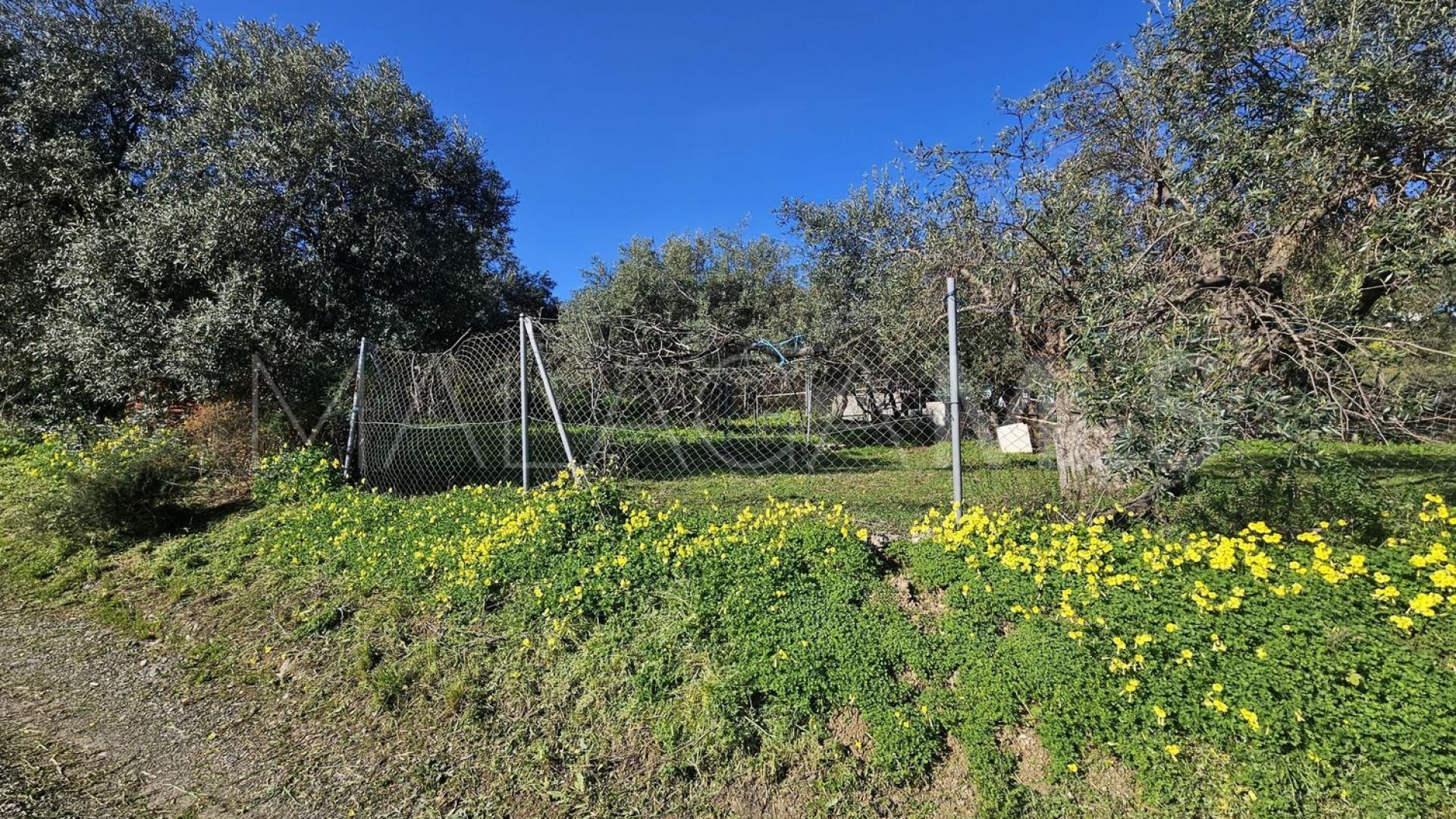 Tomt for sale in Casarabonela