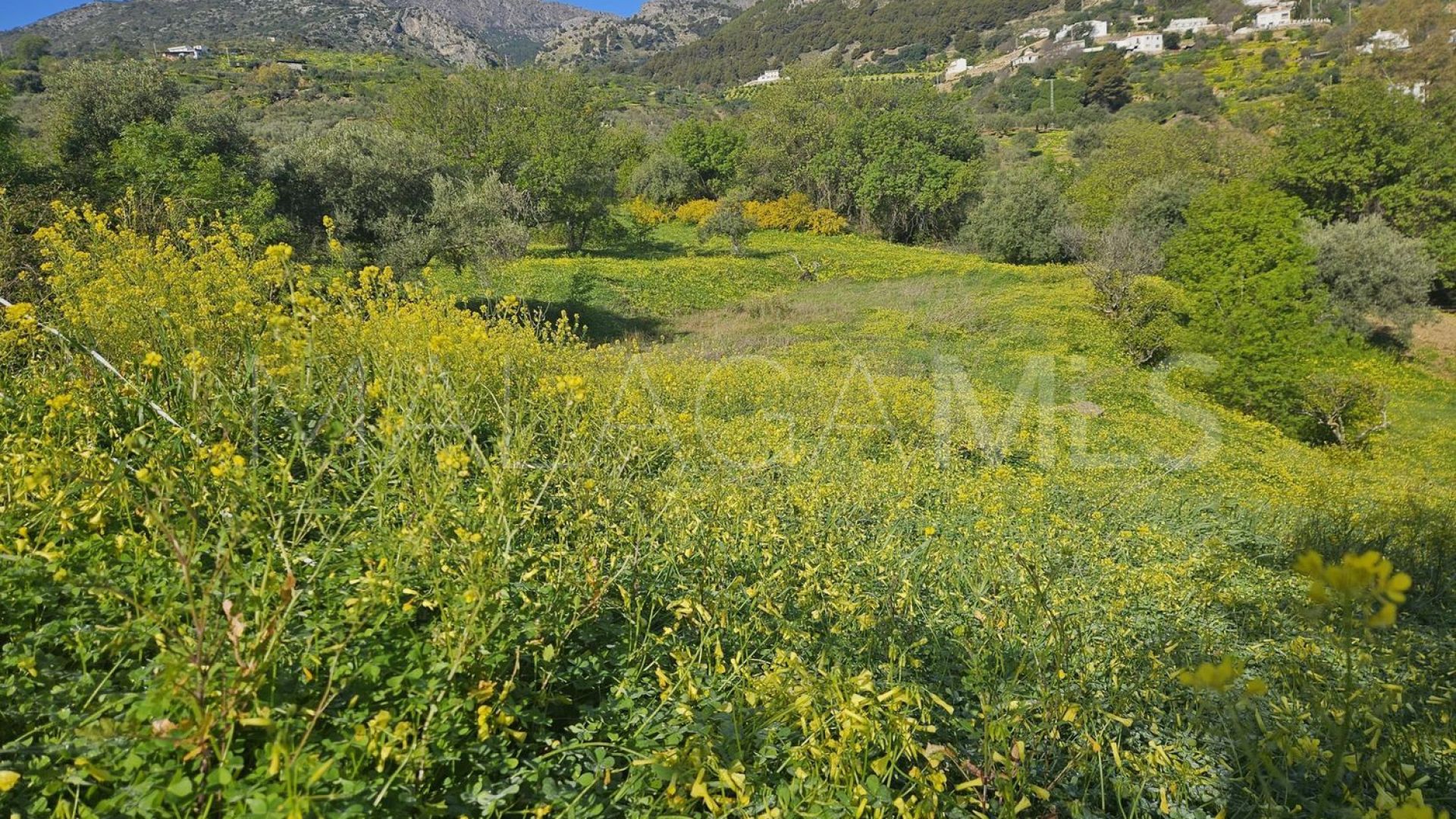 Tomt for sale in Casarabonela