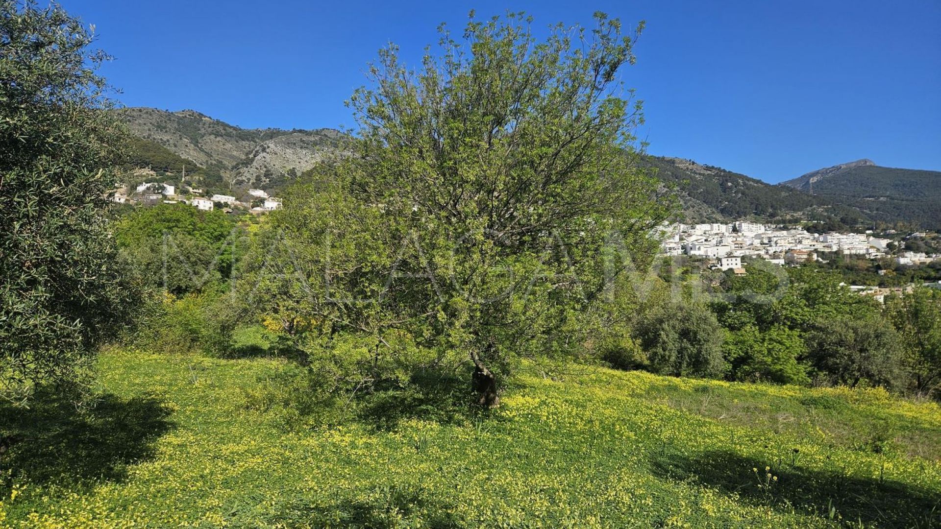 Tomt for sale in Casarabonela