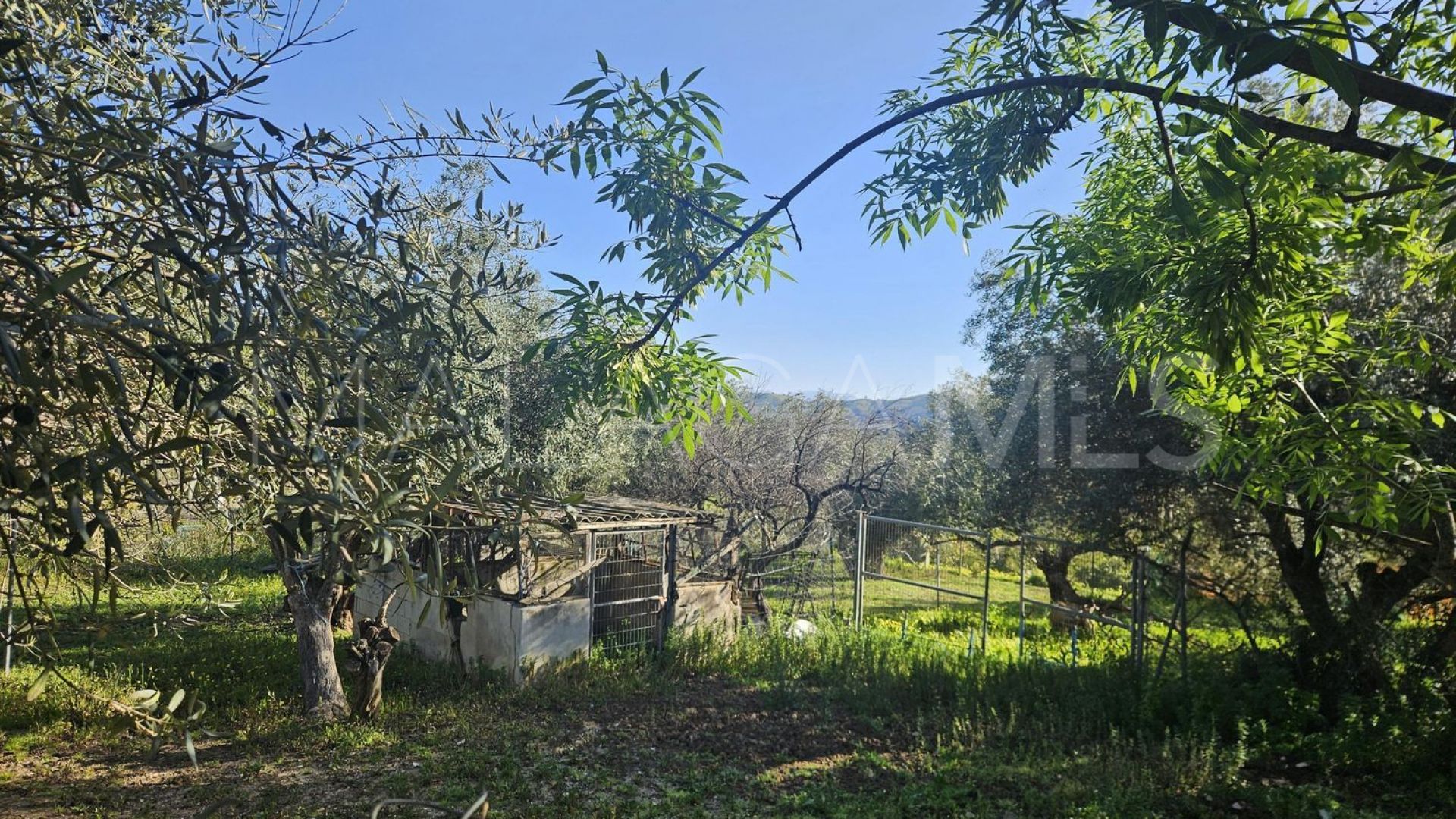 Tomt for sale in Casarabonela