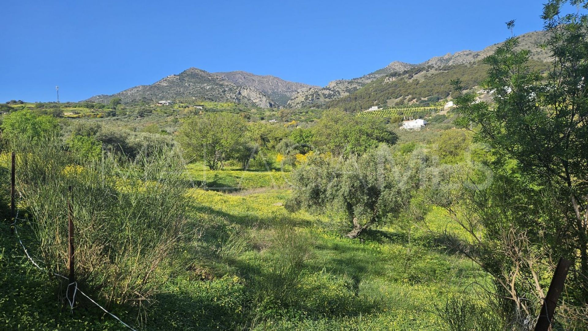 Tomt for sale in Casarabonela
