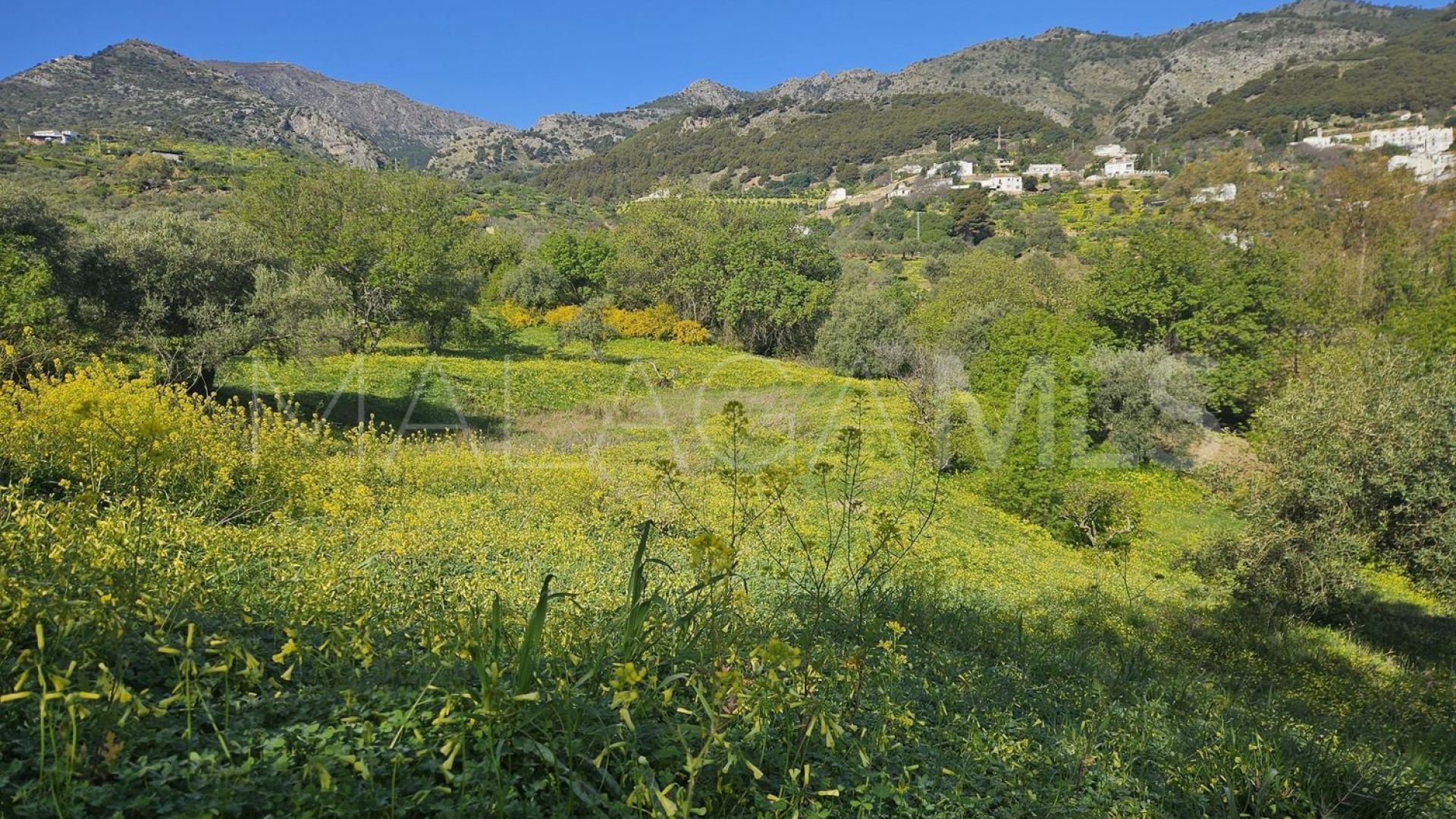 Tomt for sale in Casarabonela