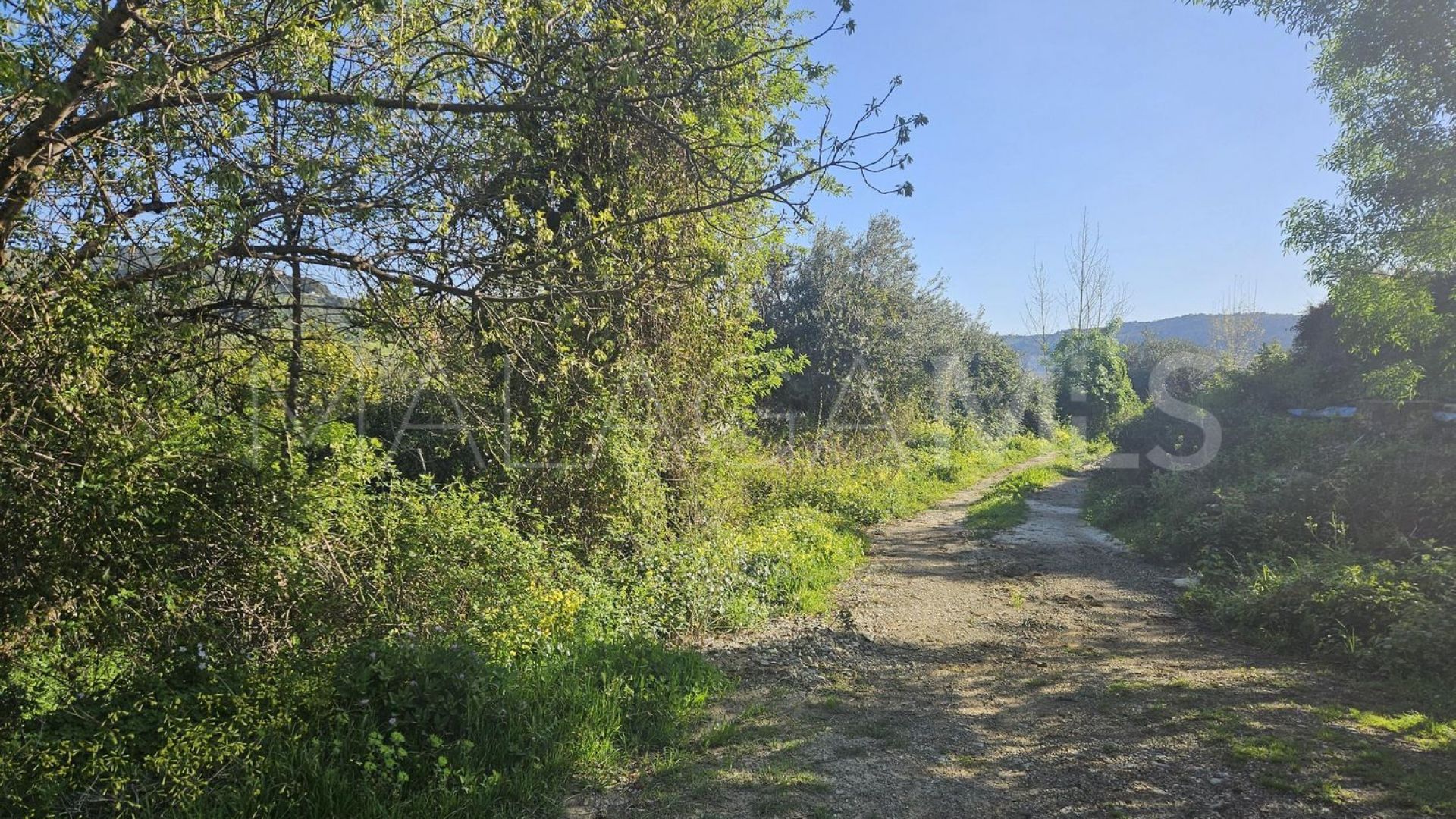Tomt for sale in Casarabonela