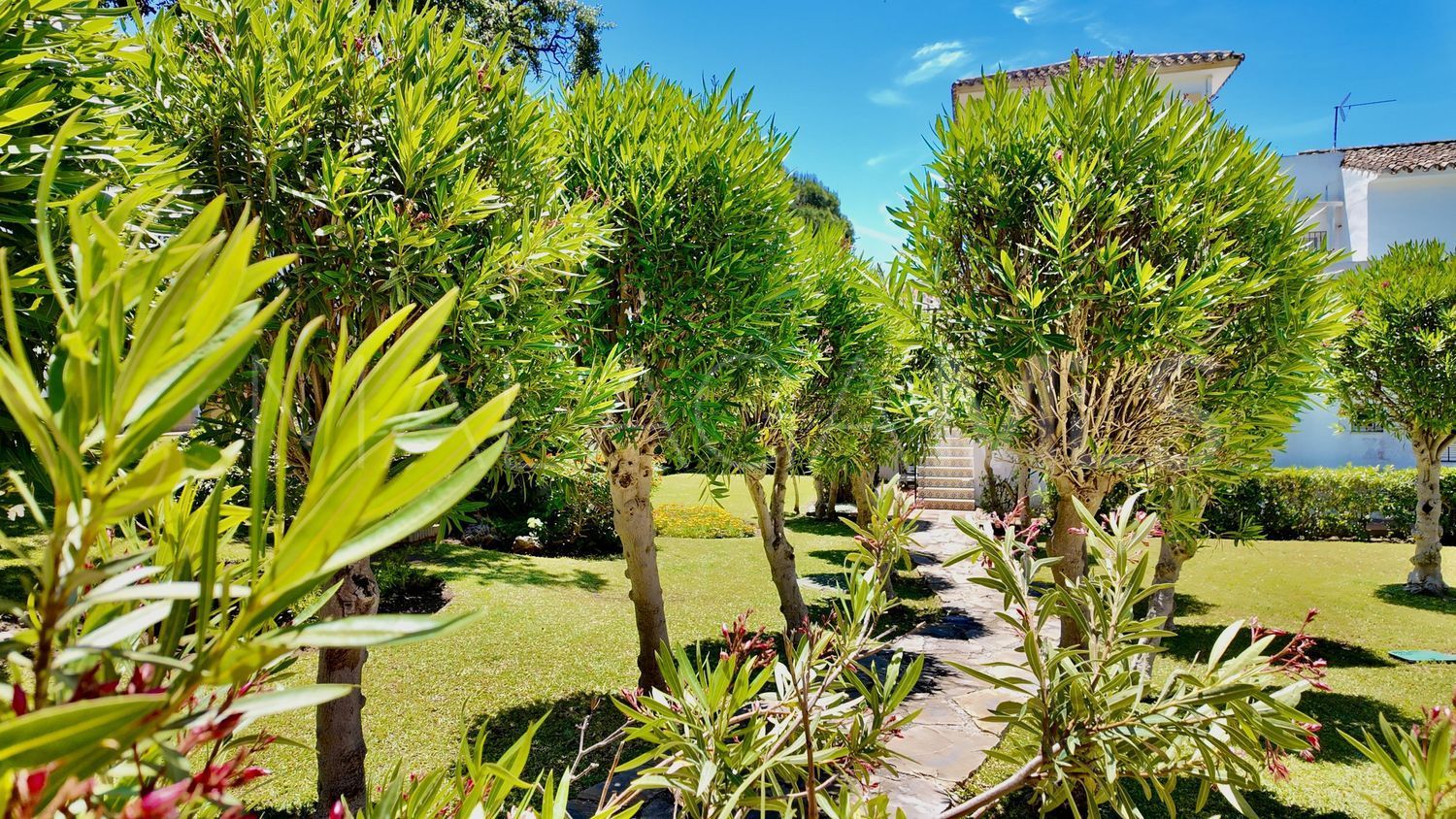 Maison de ville for sale in Hacienda Elviria