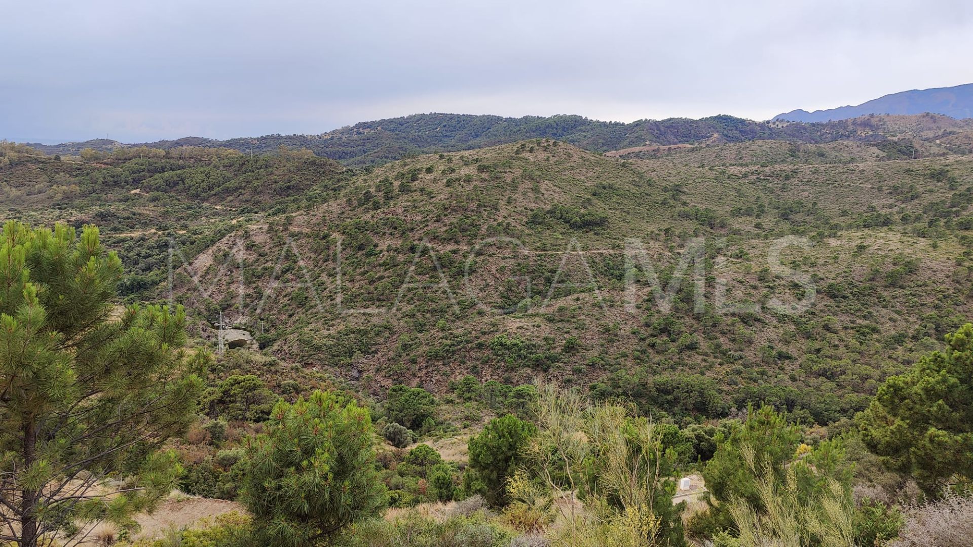 Terrain for sale in Monte Mayor