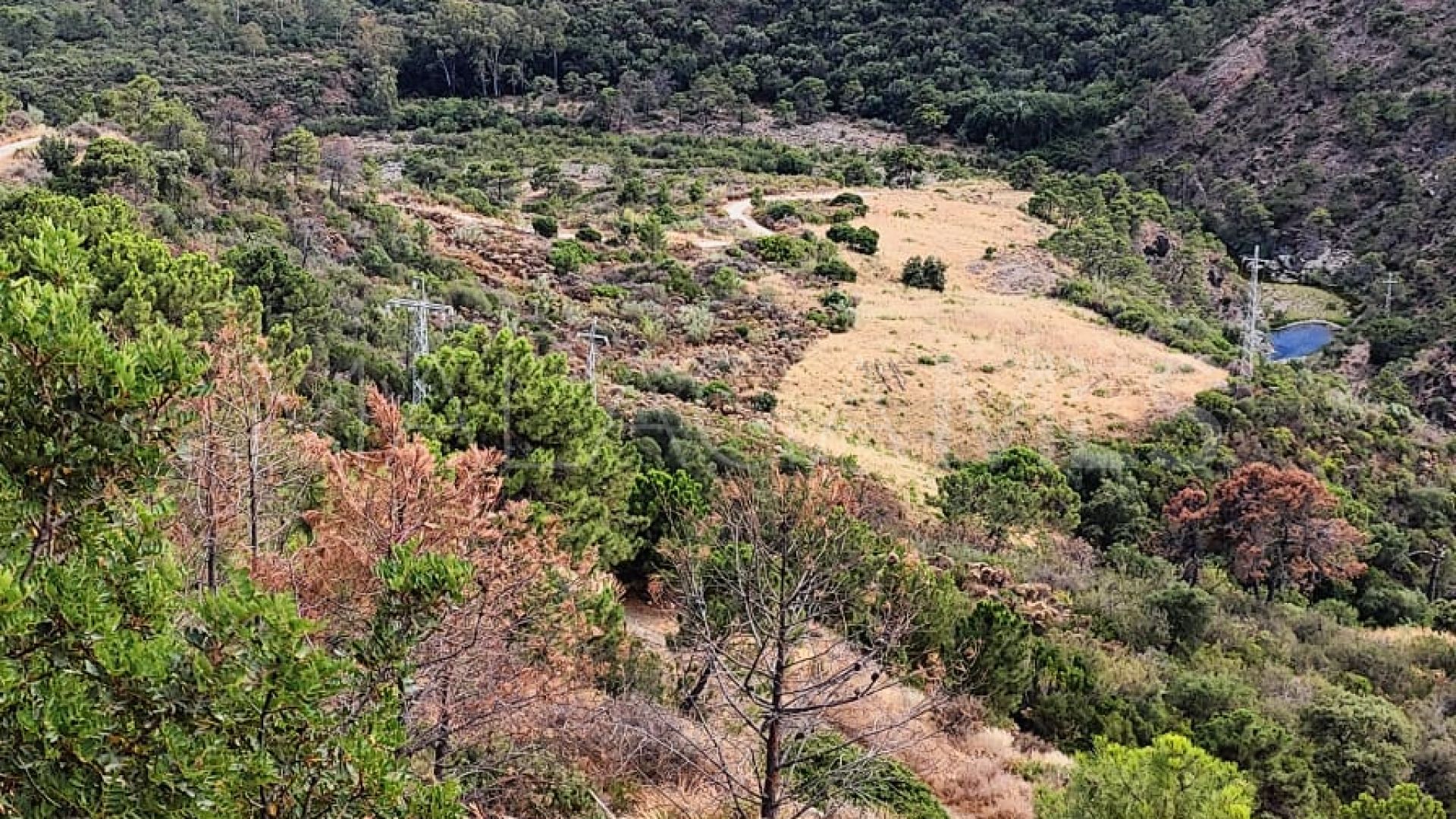 Monte Mayor, parcela a la venta