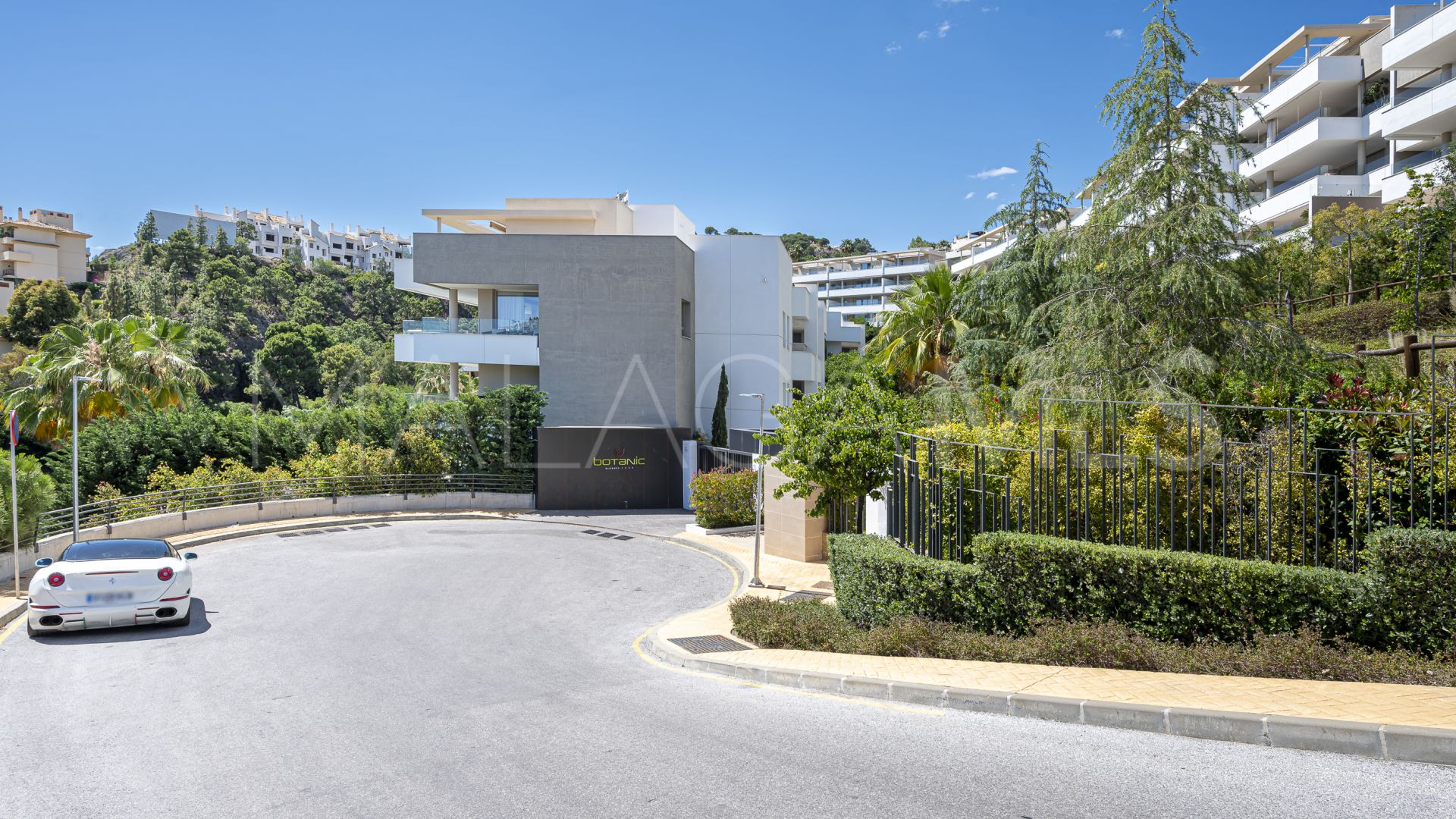 Duplex penthouse for sale in Botanic