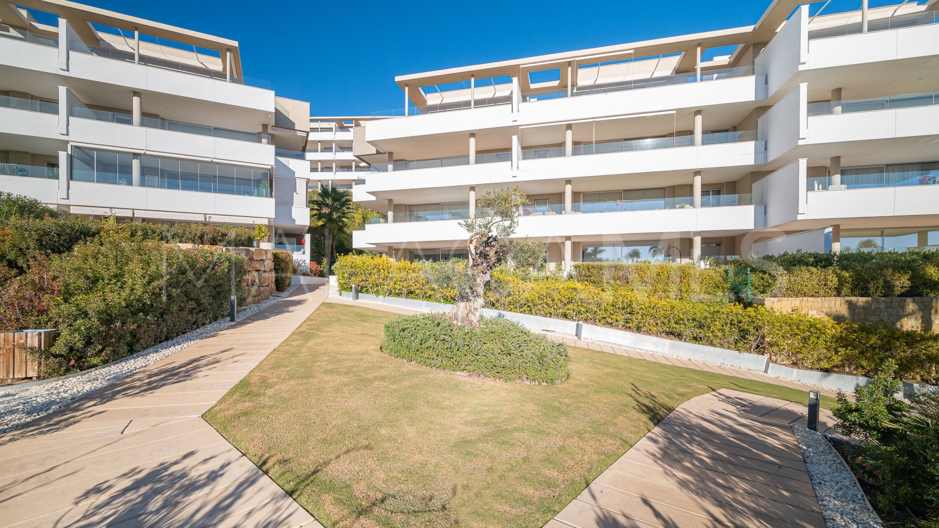 Duplex penthouse for sale in Botanic