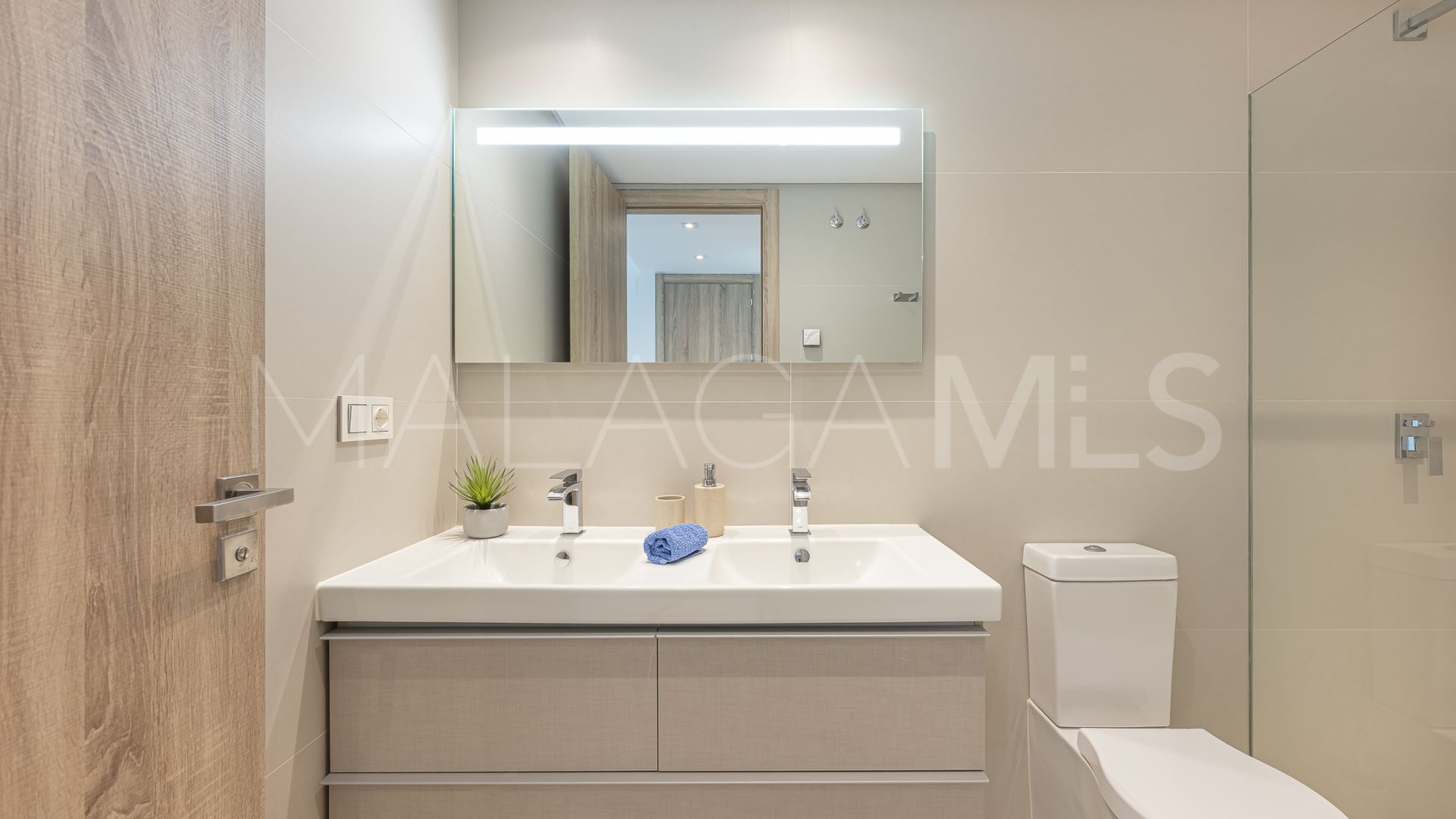 Duplex penthouse for sale in Botanic