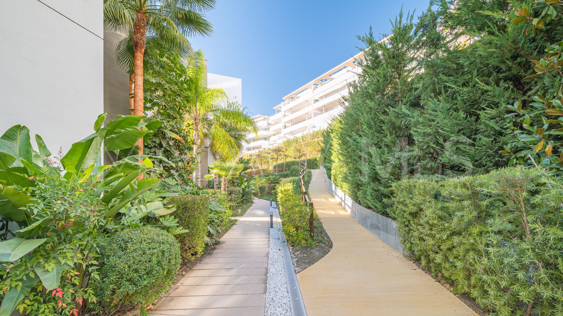 Duplex penthouse for sale in Botanic