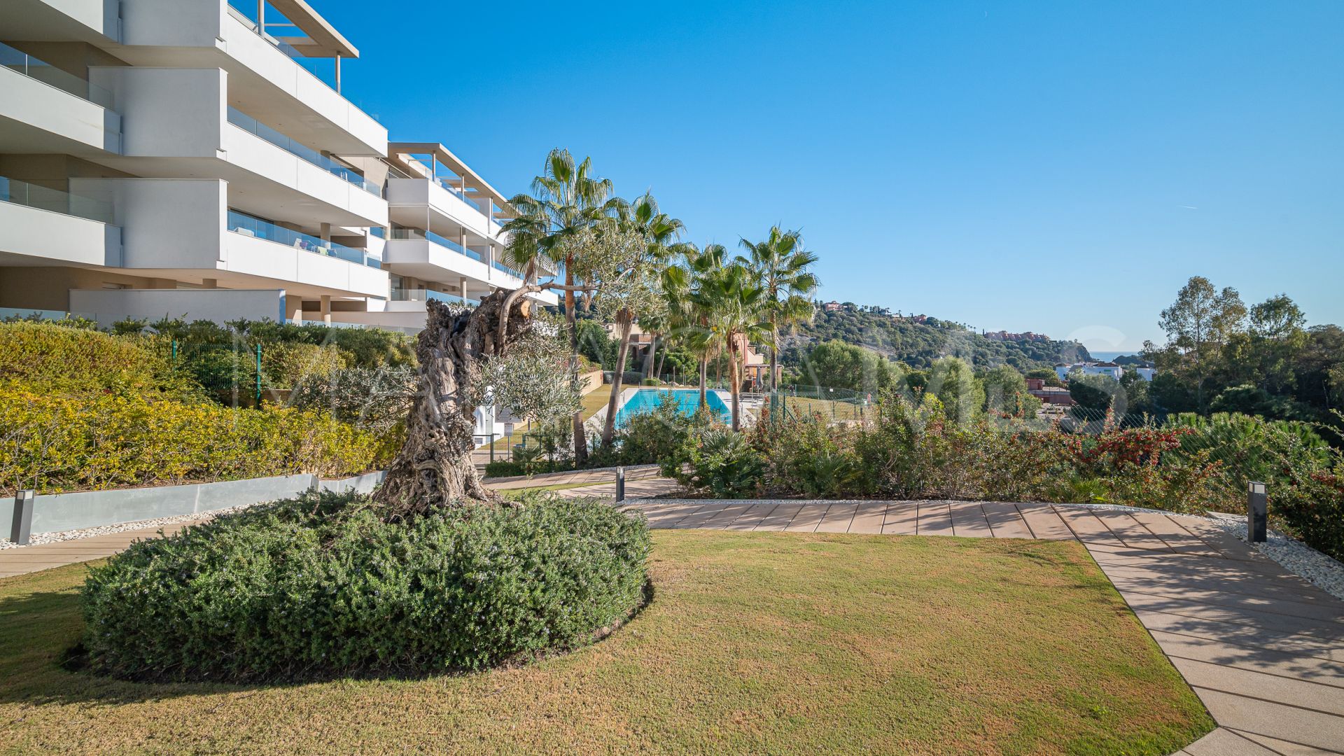 Duplex penthouse for sale in Botanic