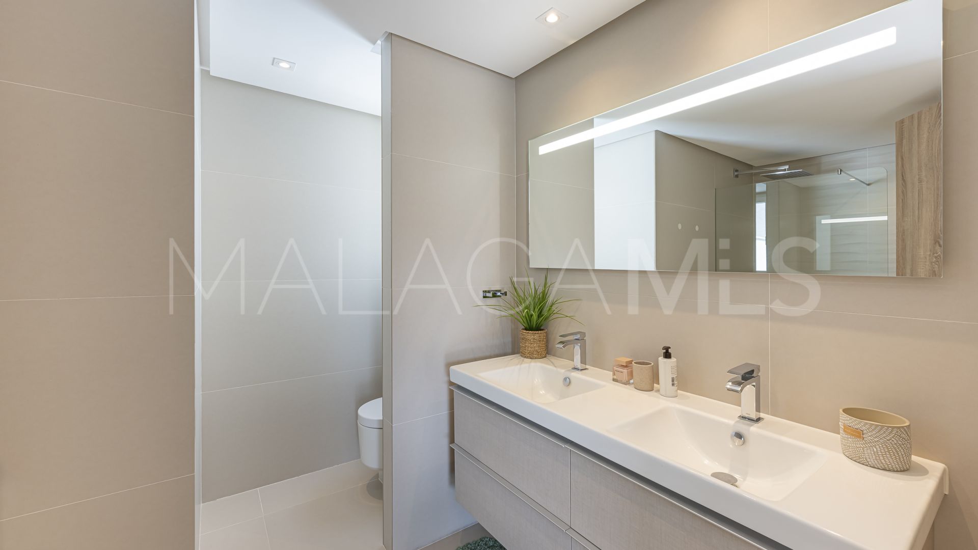 Duplex penthouse for sale in Botanic