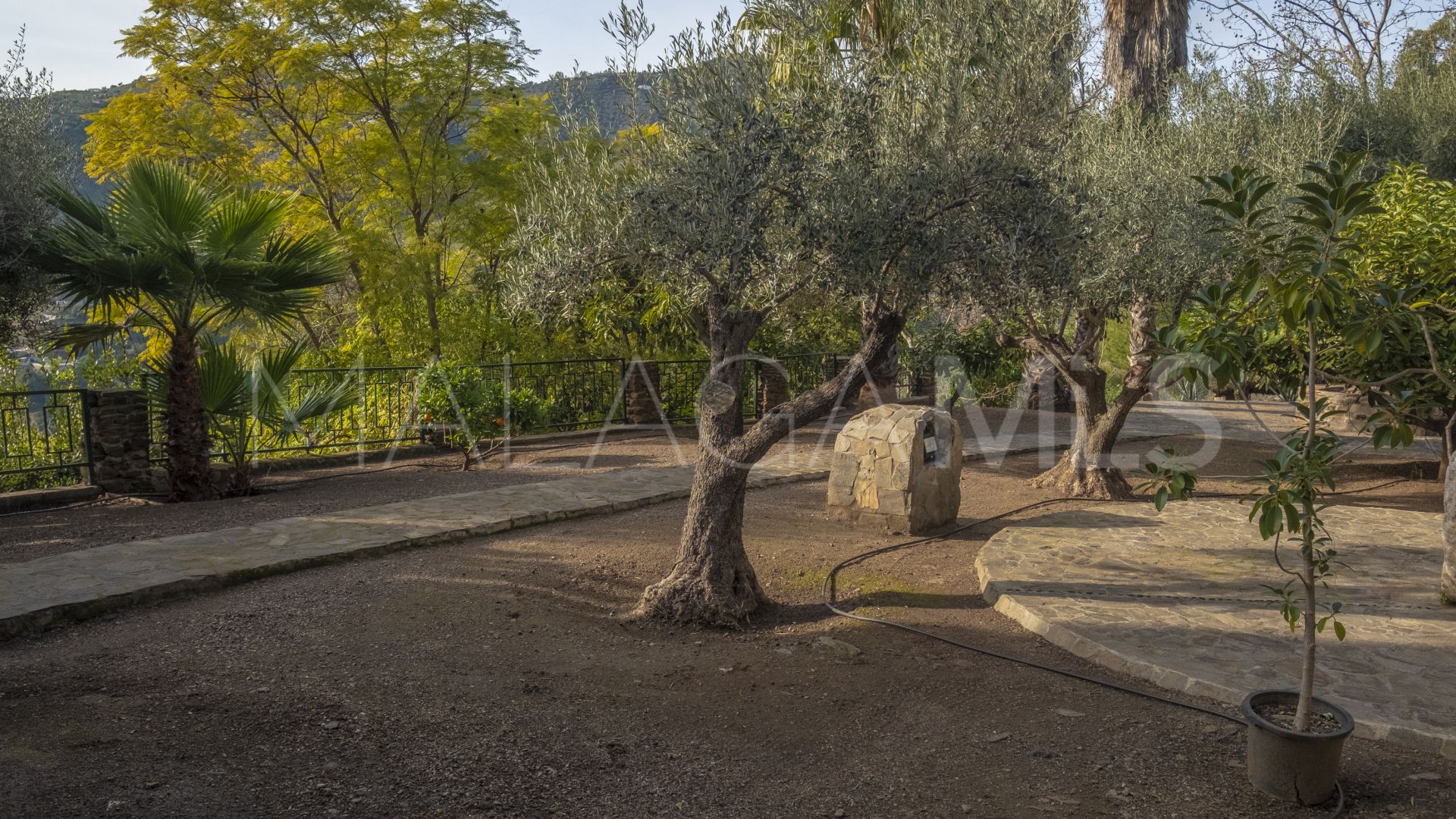 Villa for sale in Sayalonga