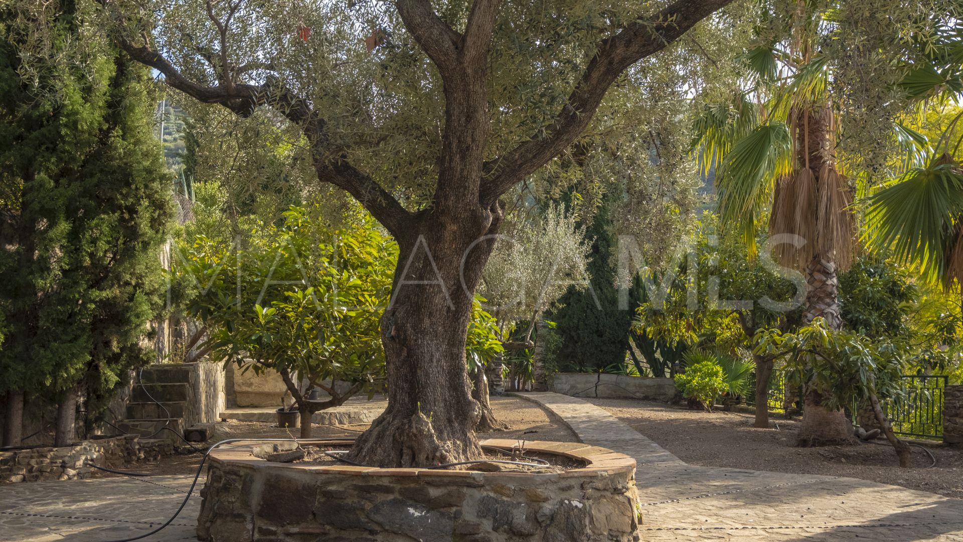 Villa for sale in Sayalonga