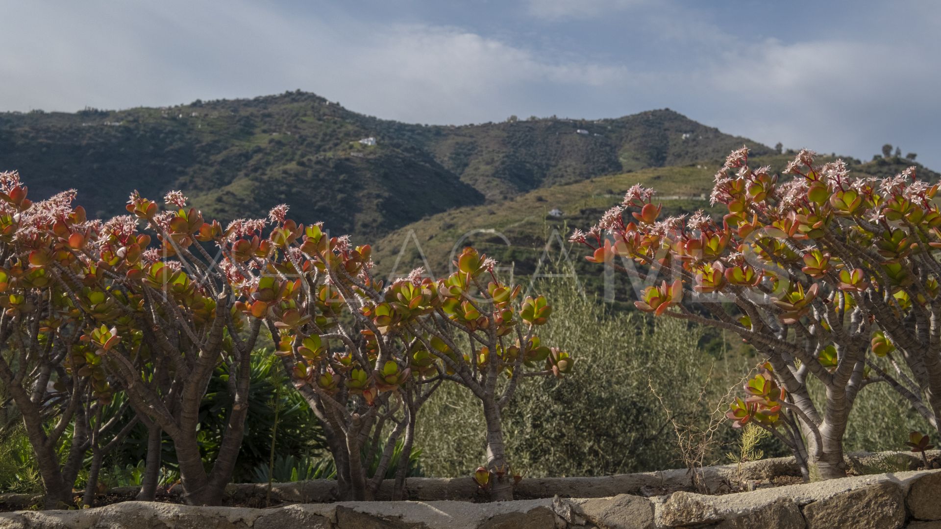 Villa for sale in Sayalonga