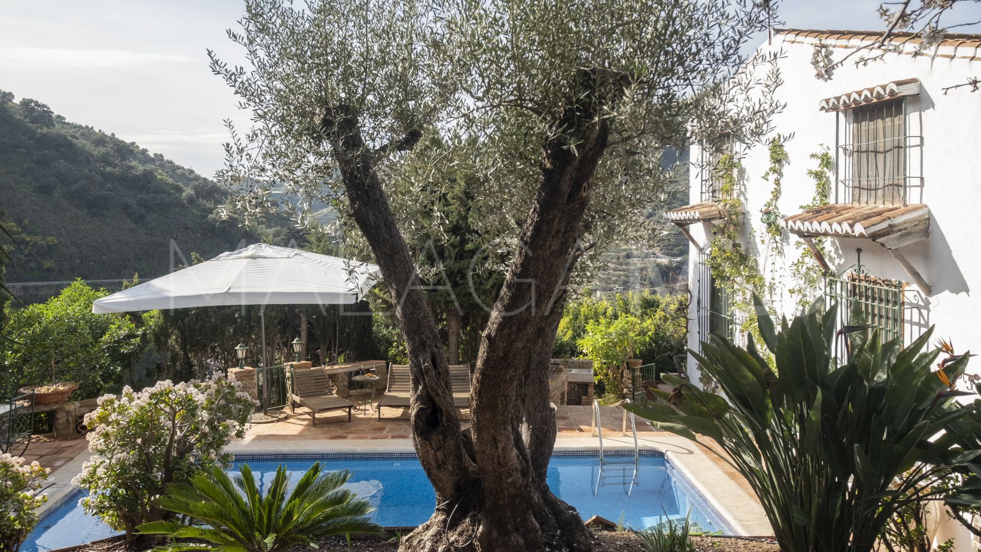 Villa for sale in Sayalonga