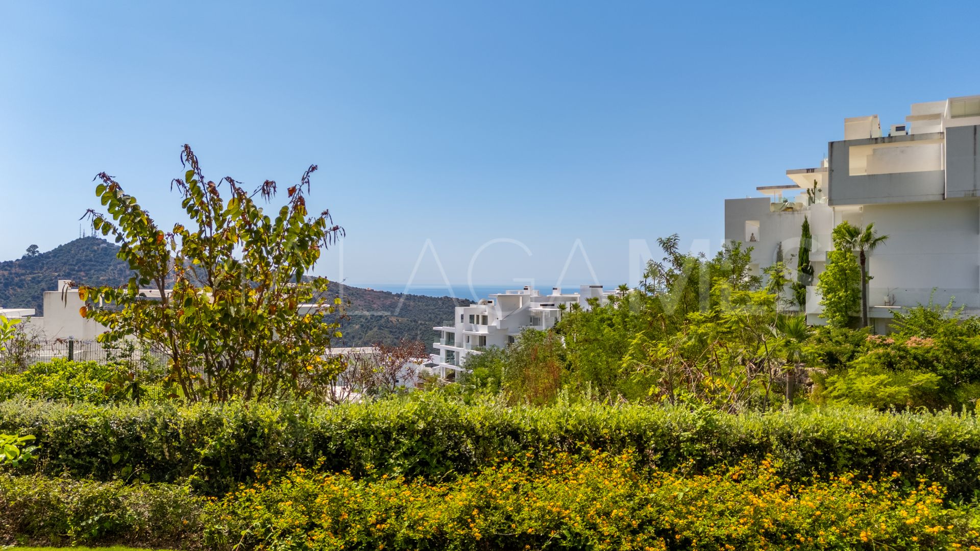 For sale ground floor apartment in Palo Alto with 3 bedrooms