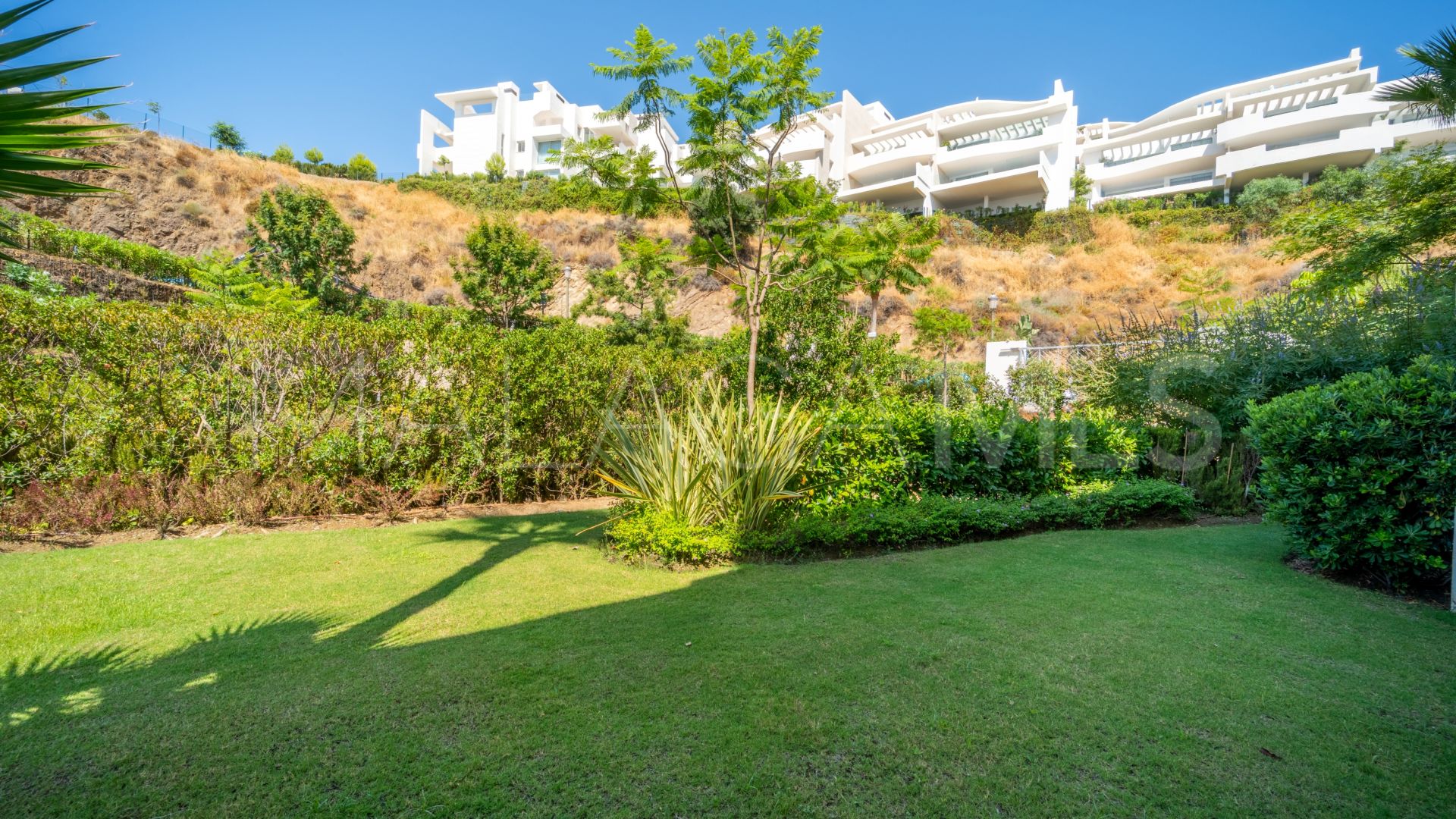 For sale ground floor apartment in Palo Alto with 3 bedrooms