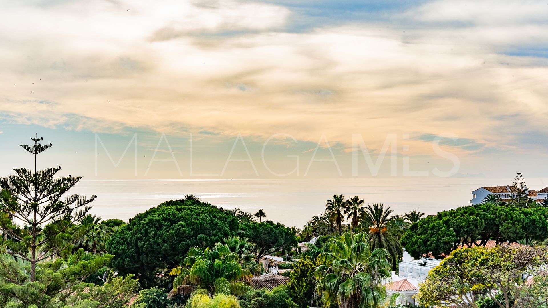 6 bedrooms villa in Marbesa for sale