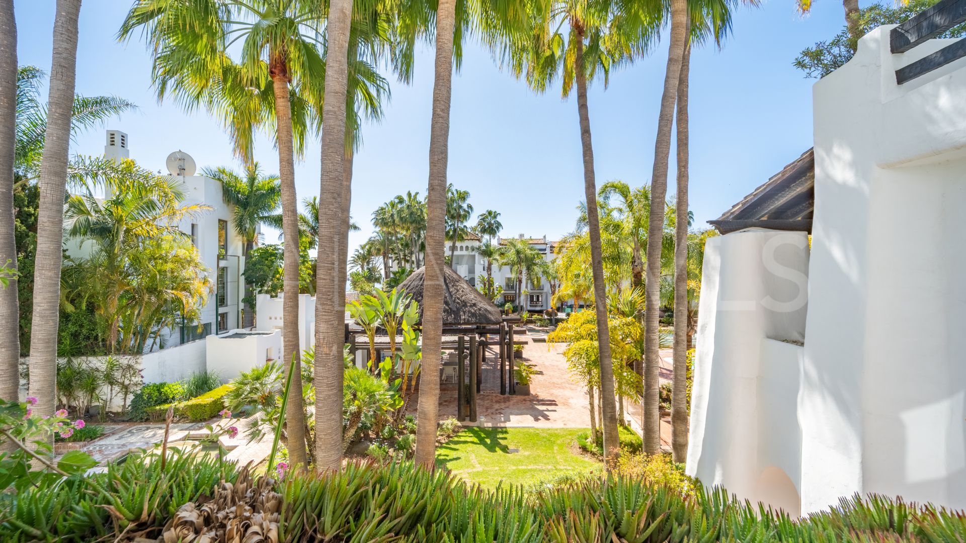 Buy apartamento in Marina Puente Romano