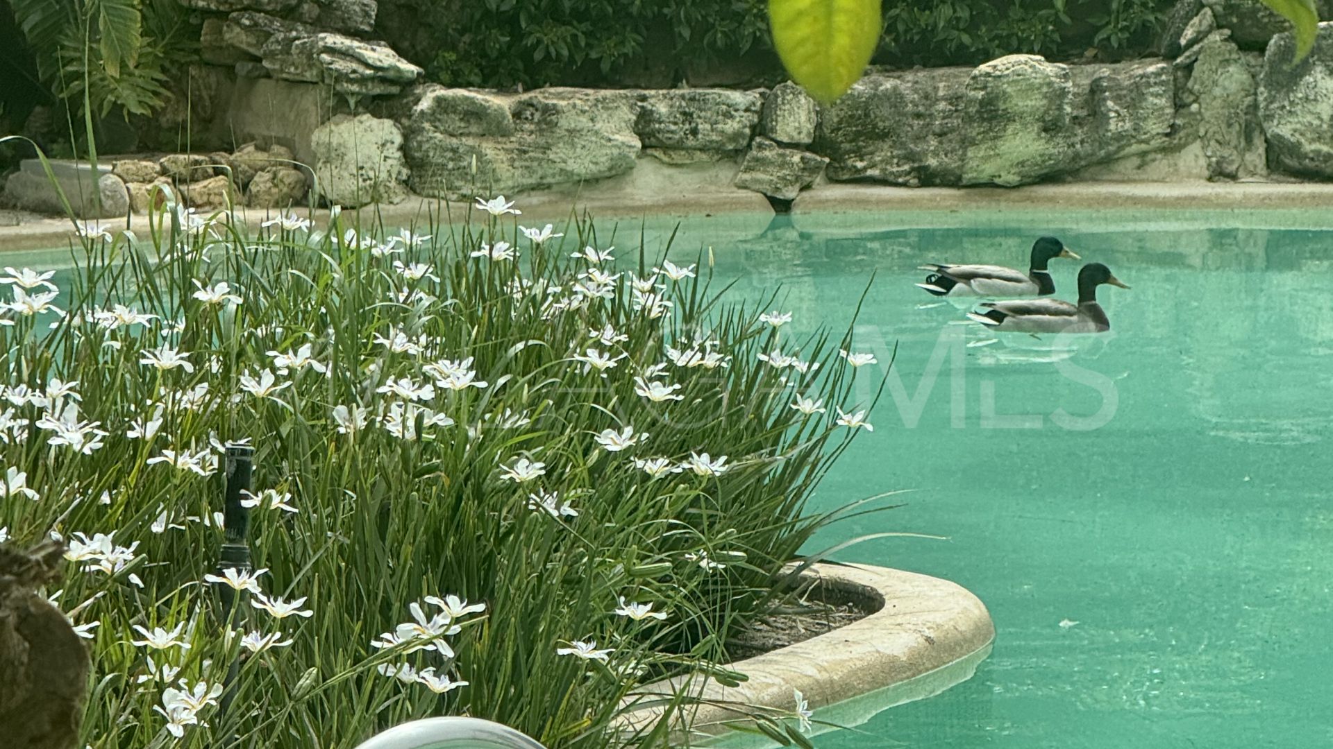 Villa for sale in Rio Real Golf