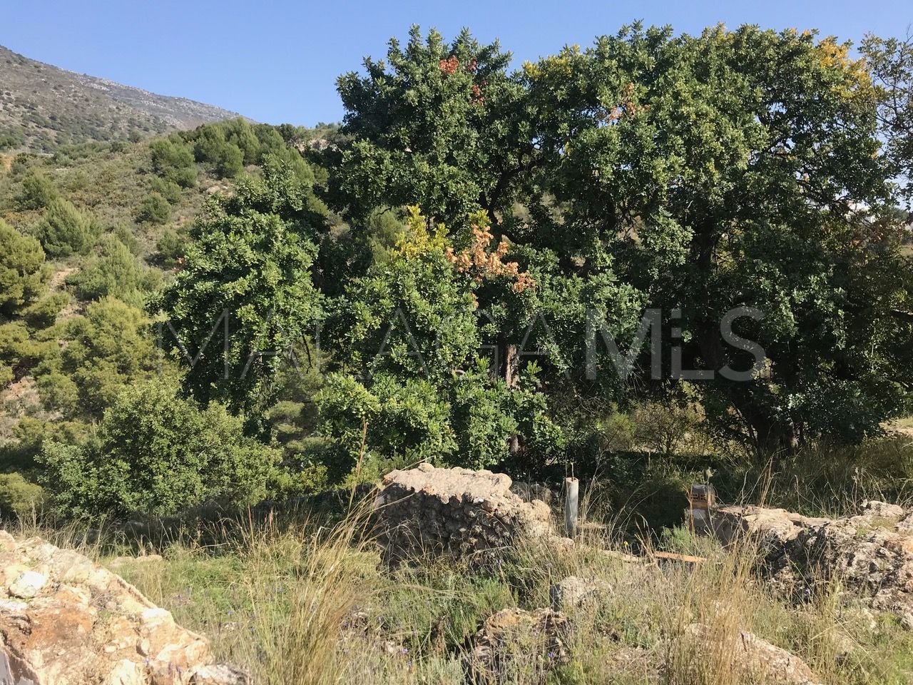 Plot for sale in Carretera de Mijas - Alta