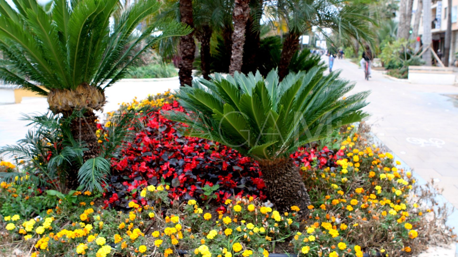 For sale apartment in Estepona Town with 2 bedrooms