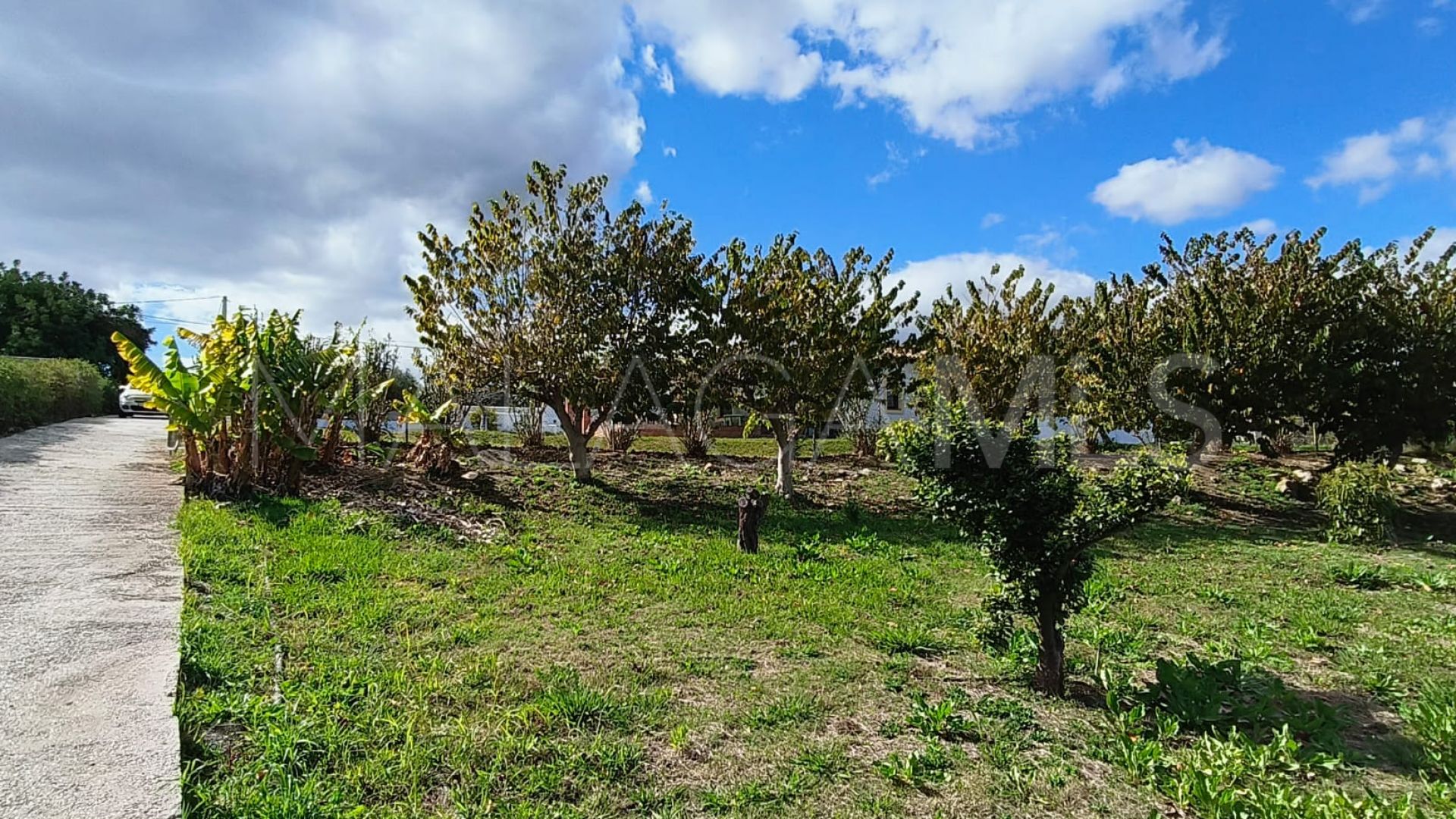 Landhaus for sale in La Alberdina