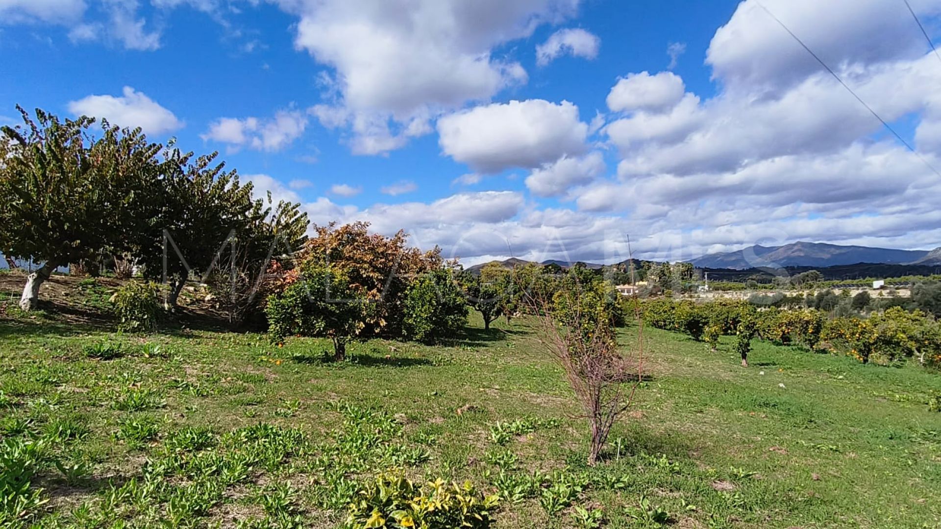 Landhaus for sale in La Alberdina