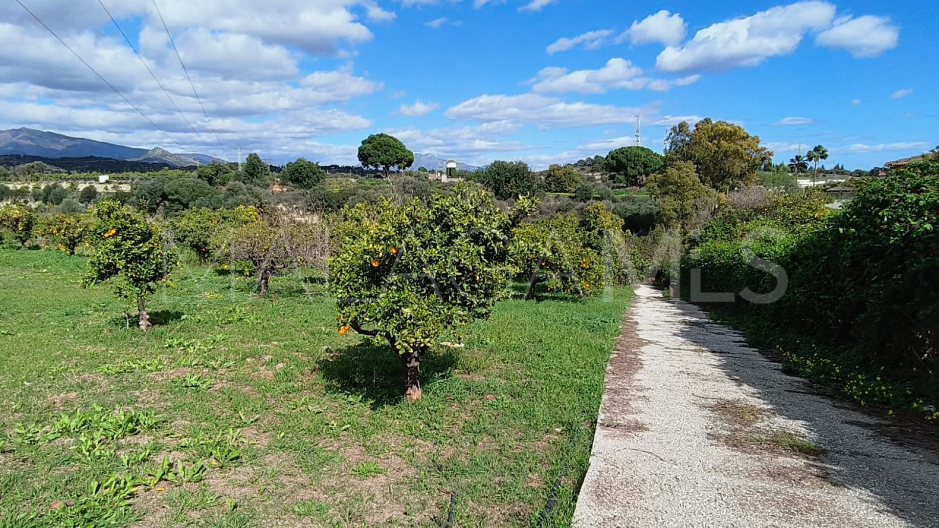 Landhaus for sale in La Alberdina
