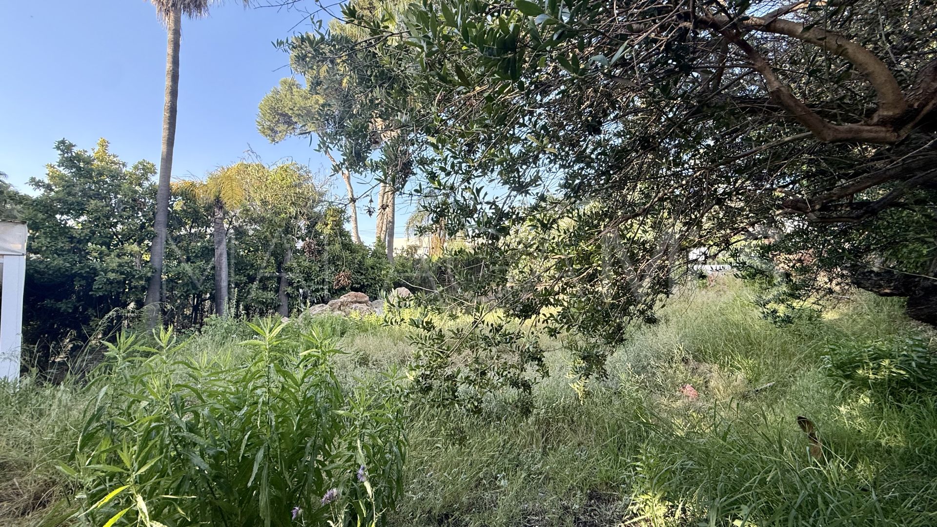 Terrain for sale in Agrupadas
