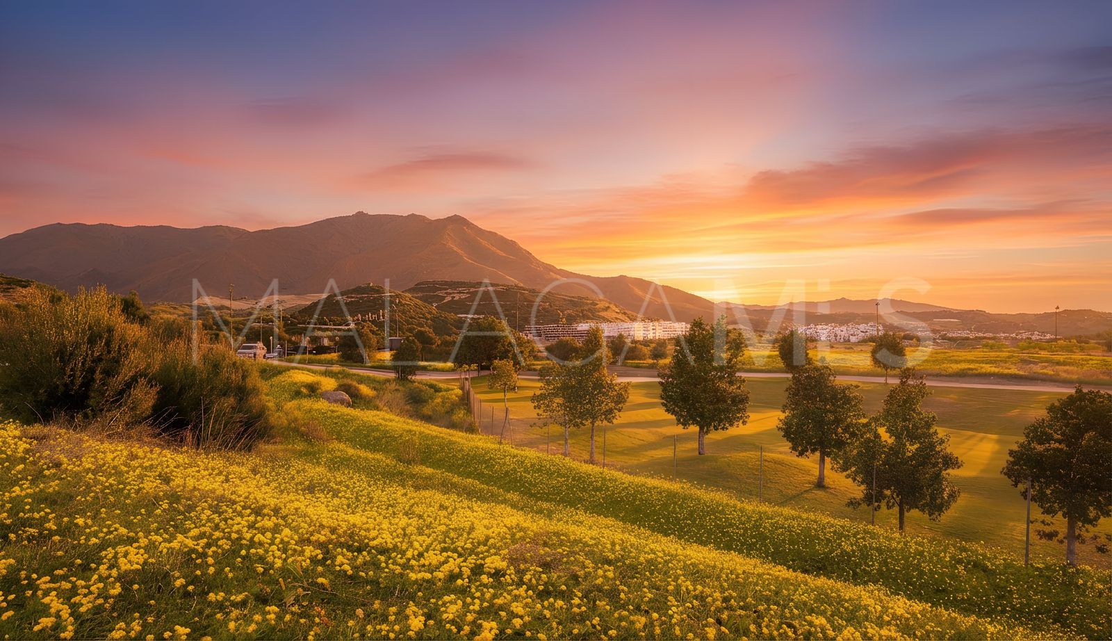 3 bedrooms Estepona villa for sale