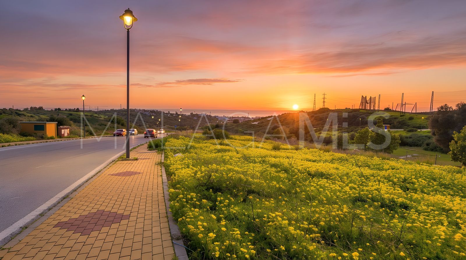 3 bedrooms Estepona villa for sale