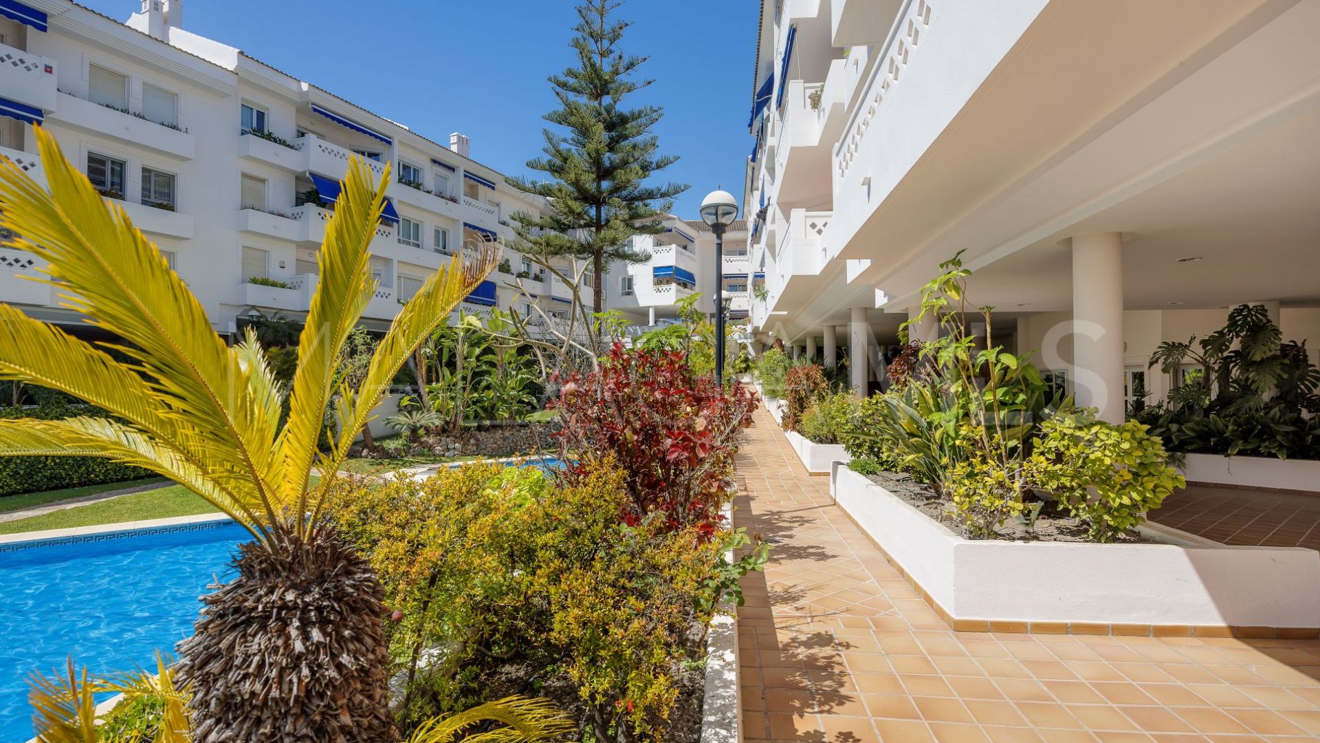 Se vende atico duplex in San Pedro de Alcantara