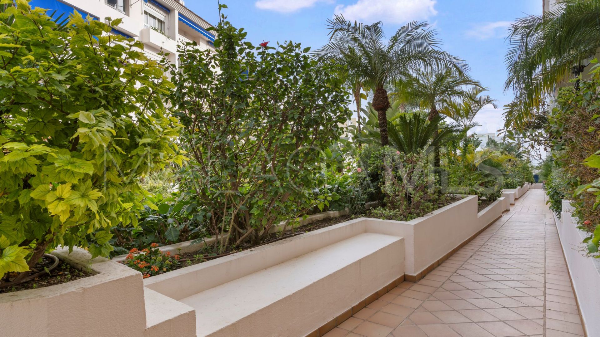 Se vende atico duplex in San Pedro de Alcantara