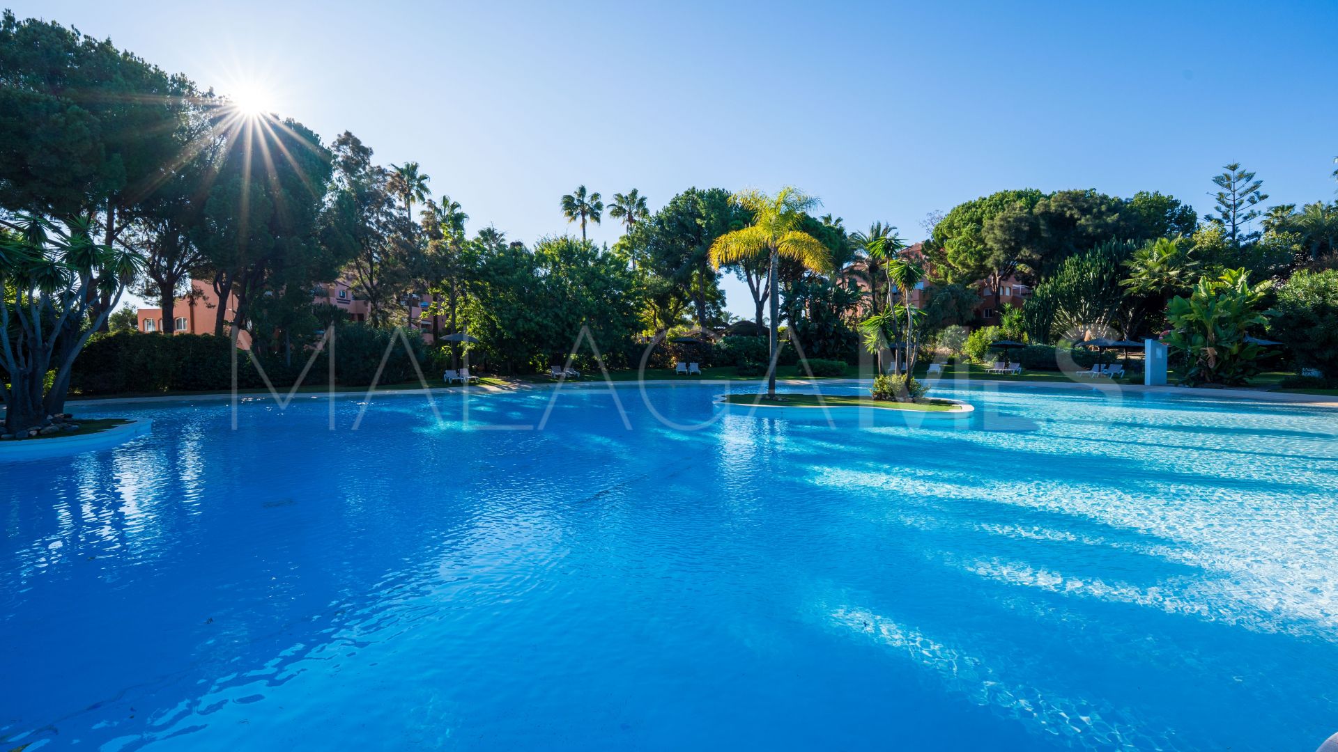 Buy apartamento planta baja in Alhambra del Golf