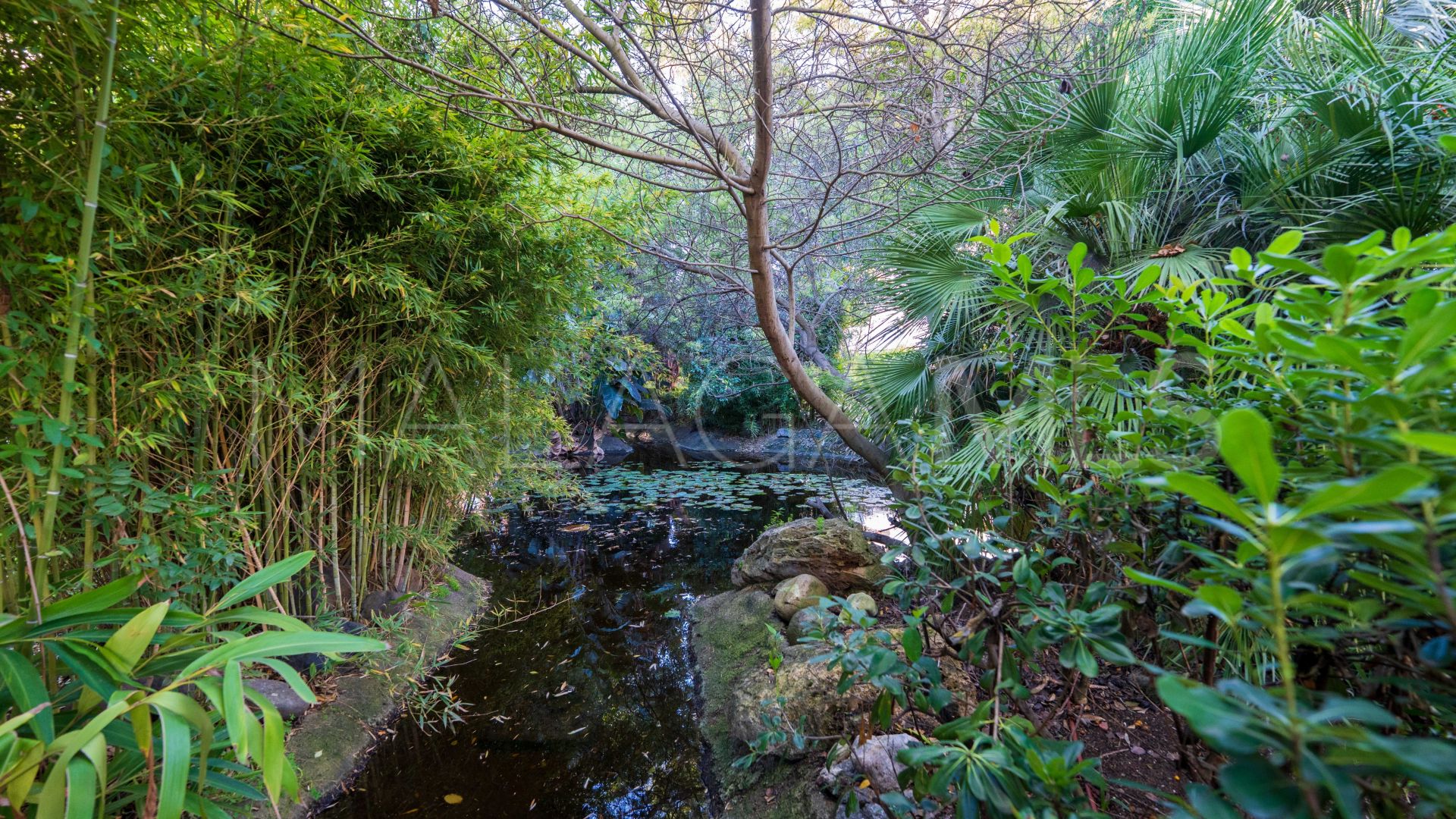 Buy apartamento planta baja in Alhambra del Golf