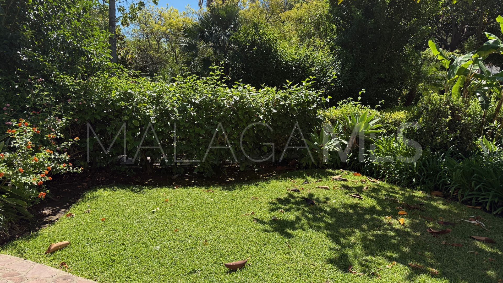 Buy ground floor apartment in Alhambra del Golf with 3 bedrooms