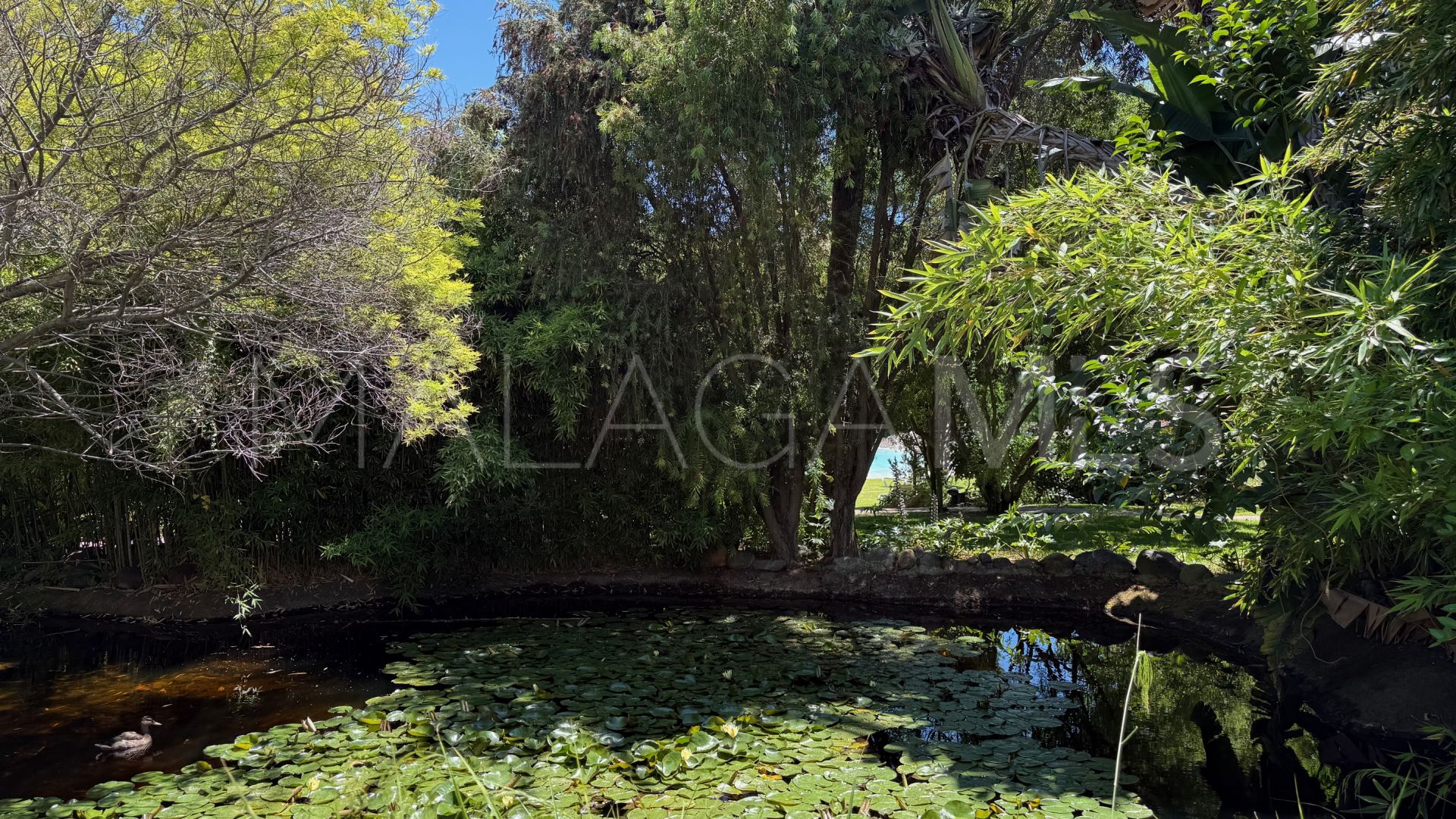 Buy ground floor apartment in Alhambra del Golf with 3 bedrooms