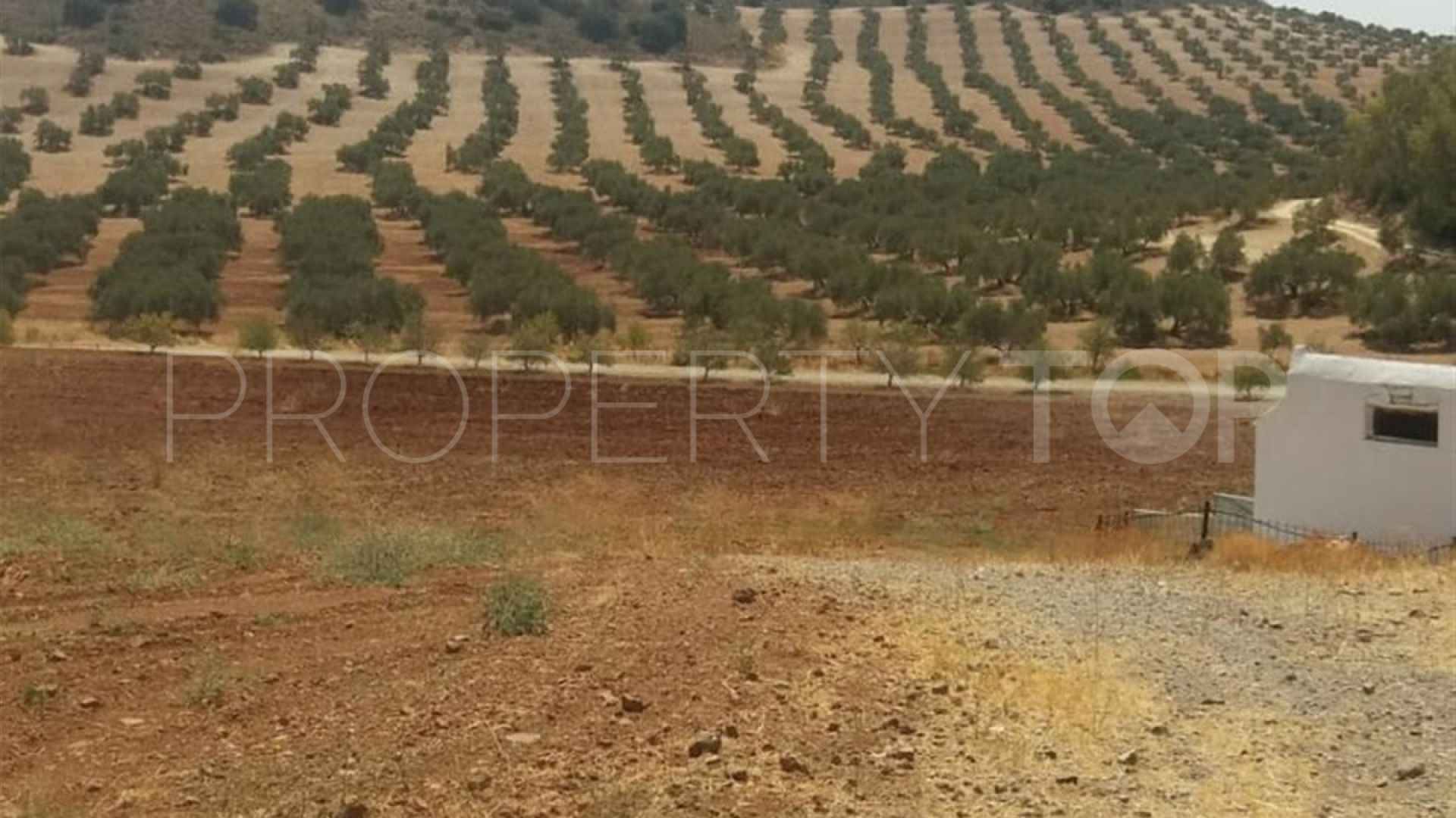 Finca with 8 bedrooms for sale in Antequera