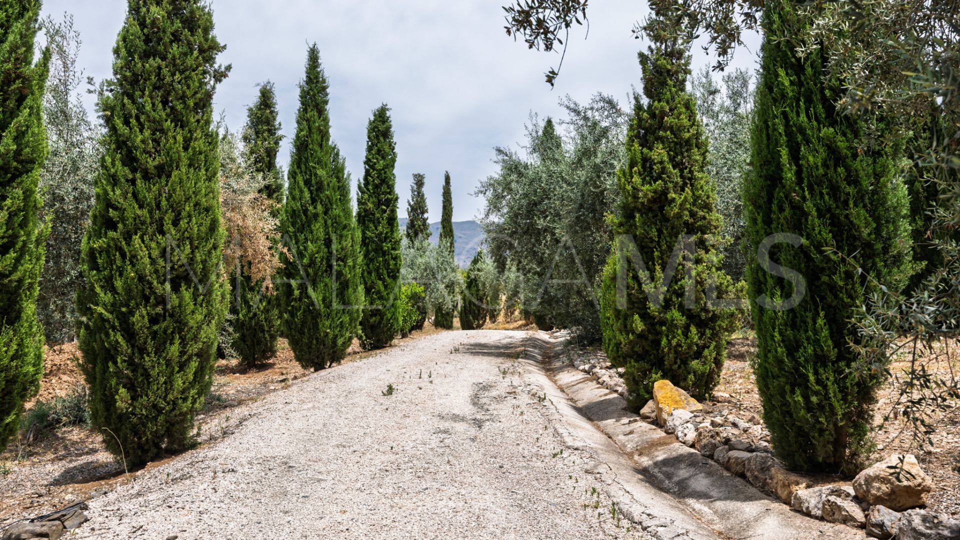 Bauernhof for sale in Periana