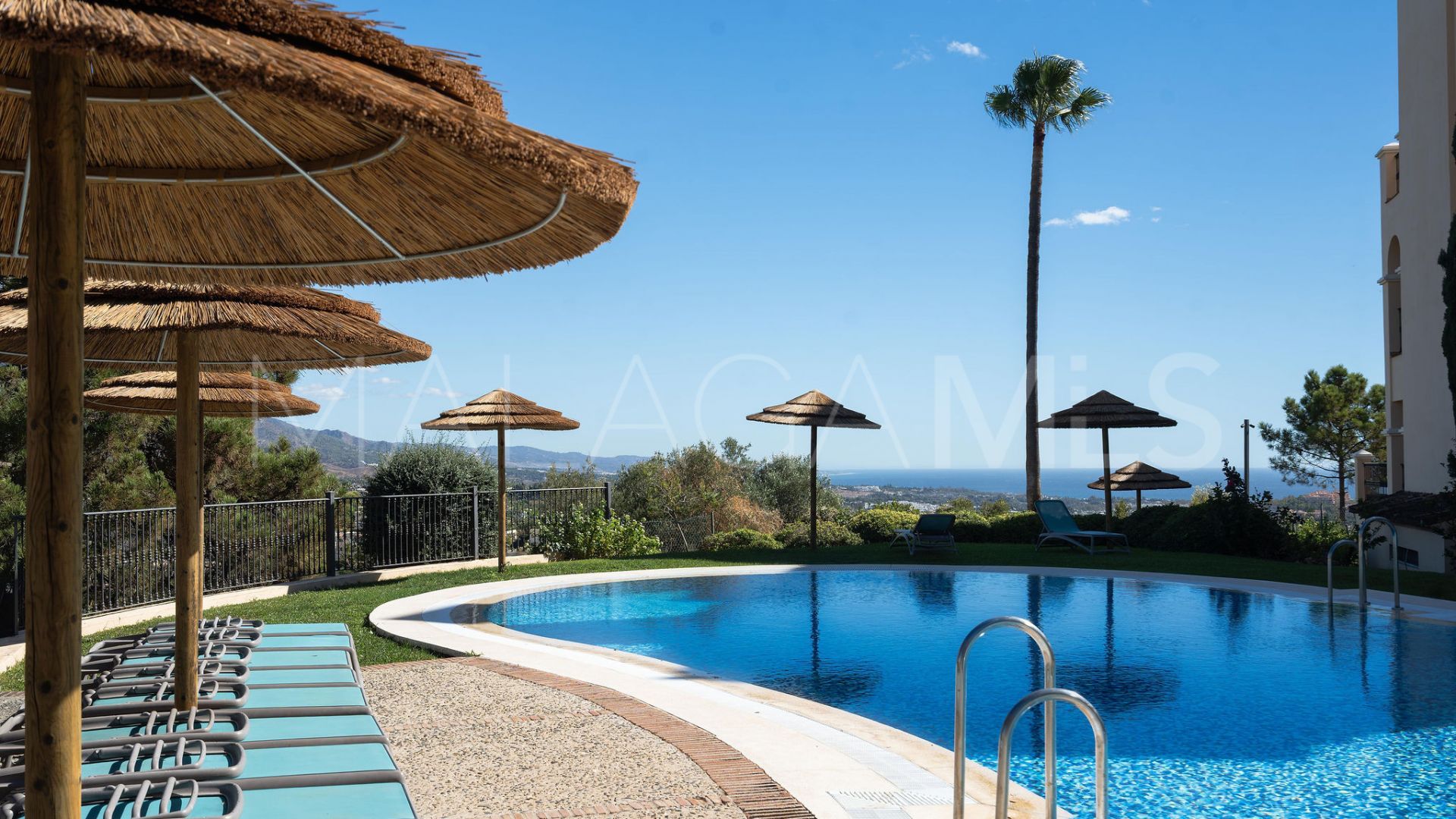 Buy apartamento planta baja in Buenavista de 2 bedrooms