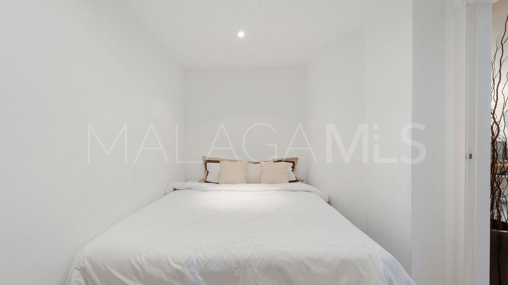 Buy duplex planta baja de 4 bedrooms in Andalucia Alta