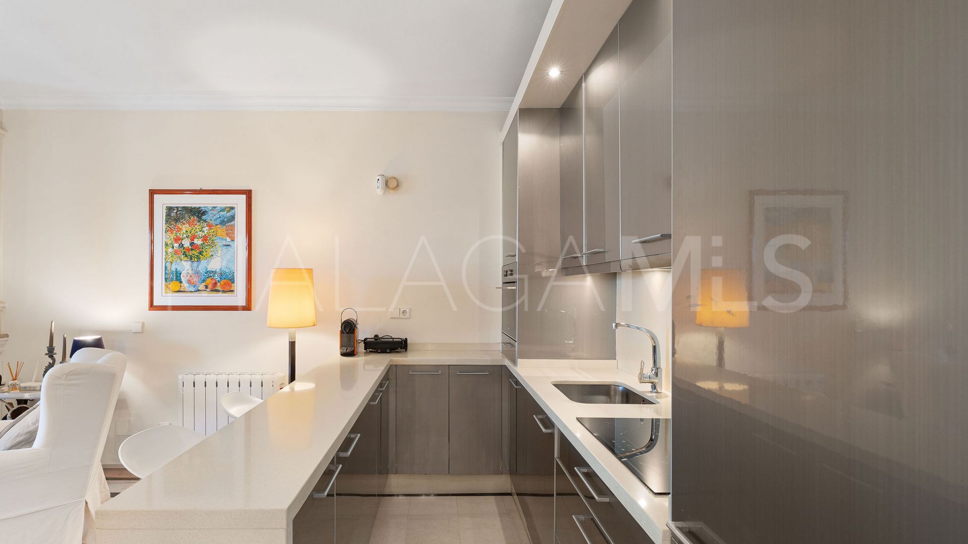 Appartement terrasse for sale in Andalucia Alta